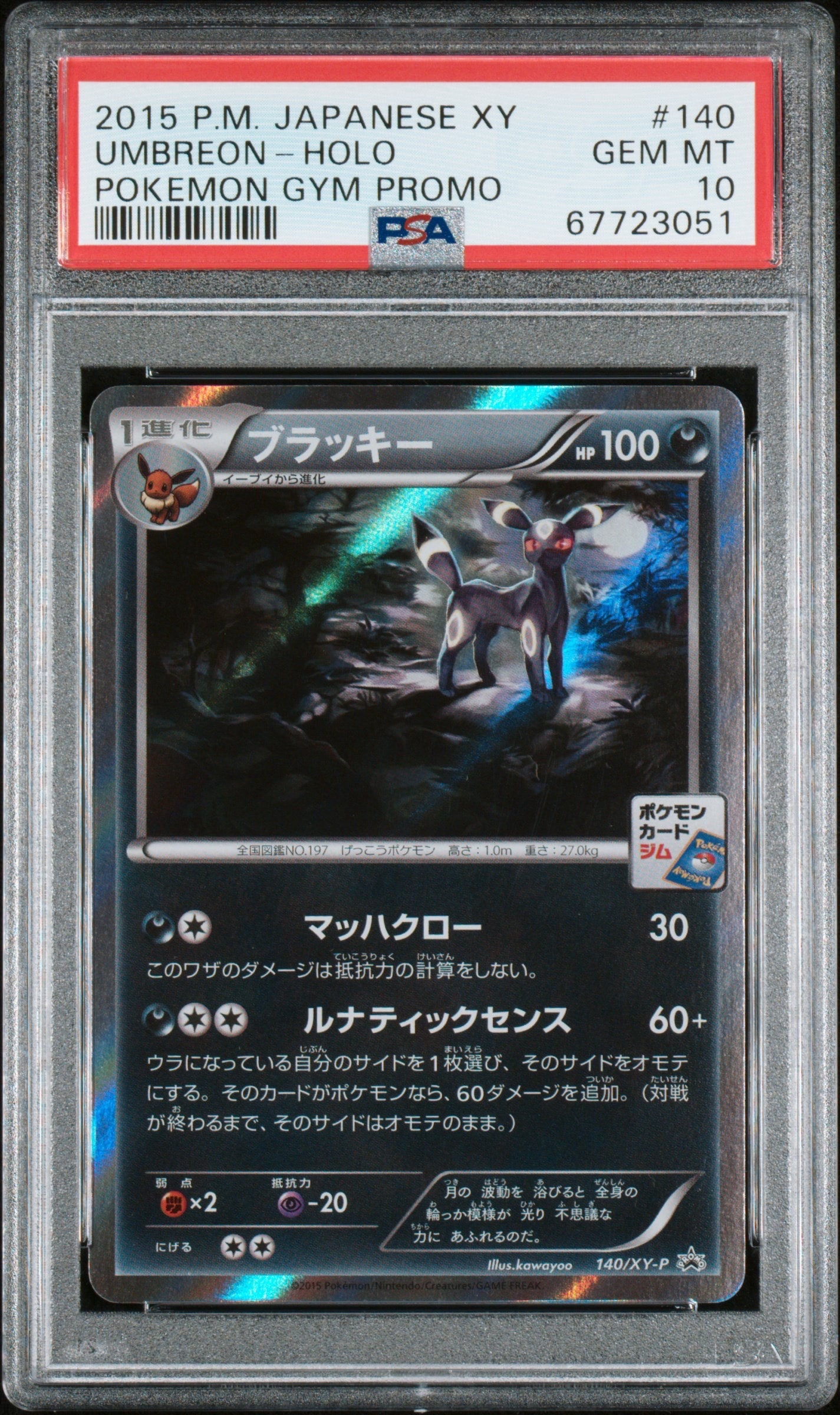 ブラッキー: プロモ[XY-P 140/XY-P](プロモーションカード「XY-P」)