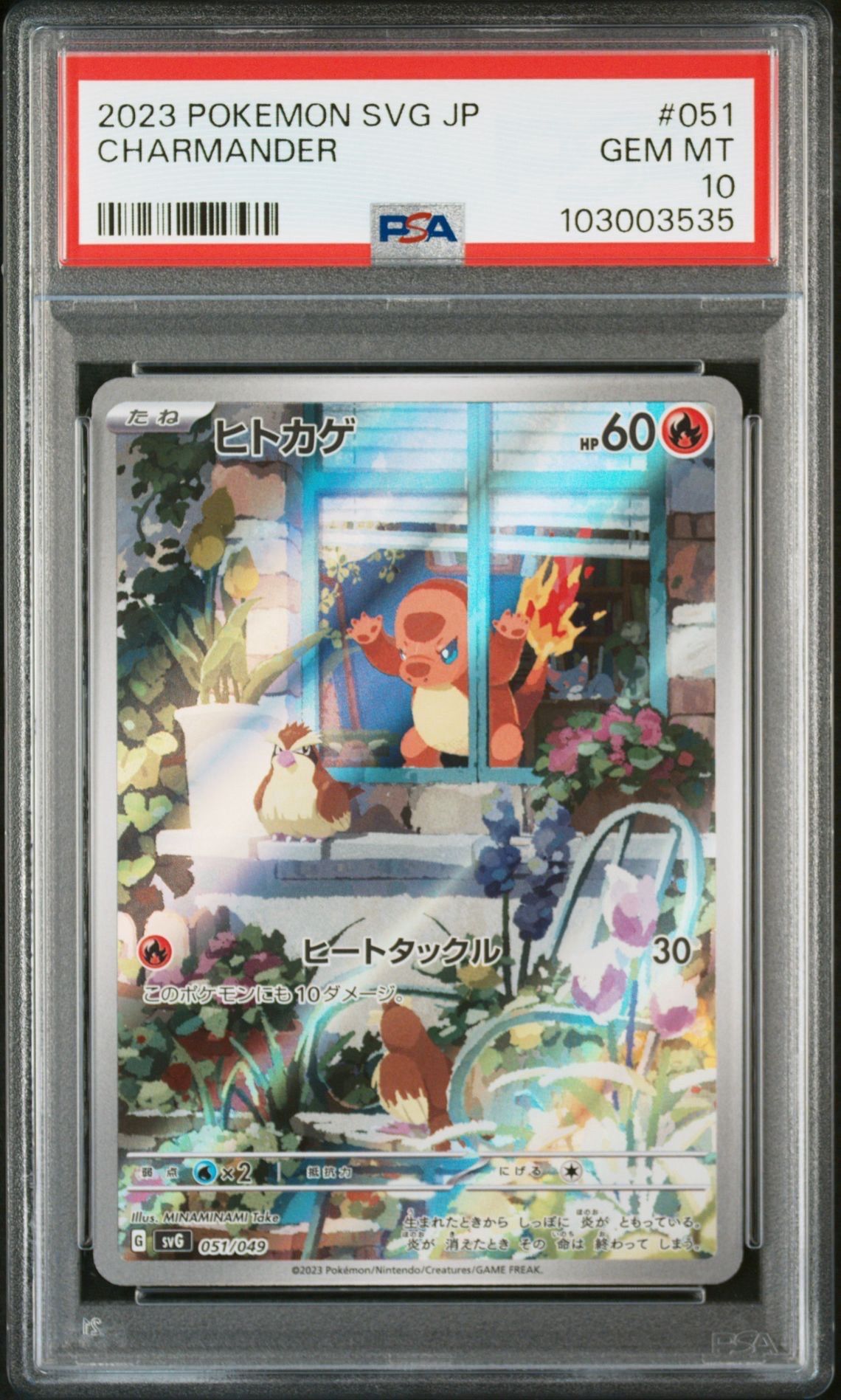 ヒトカゲ :フルイラスト [SVG 051/049](スペシャルデッキセットex「フシギバナ・リザードン・カメックス」)