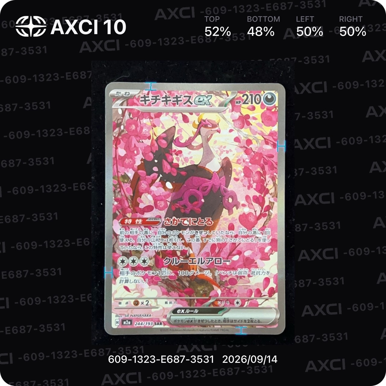 キチキギスex SAR [M2a 244/193](ハイクラスパック「MEGAドリームex」)