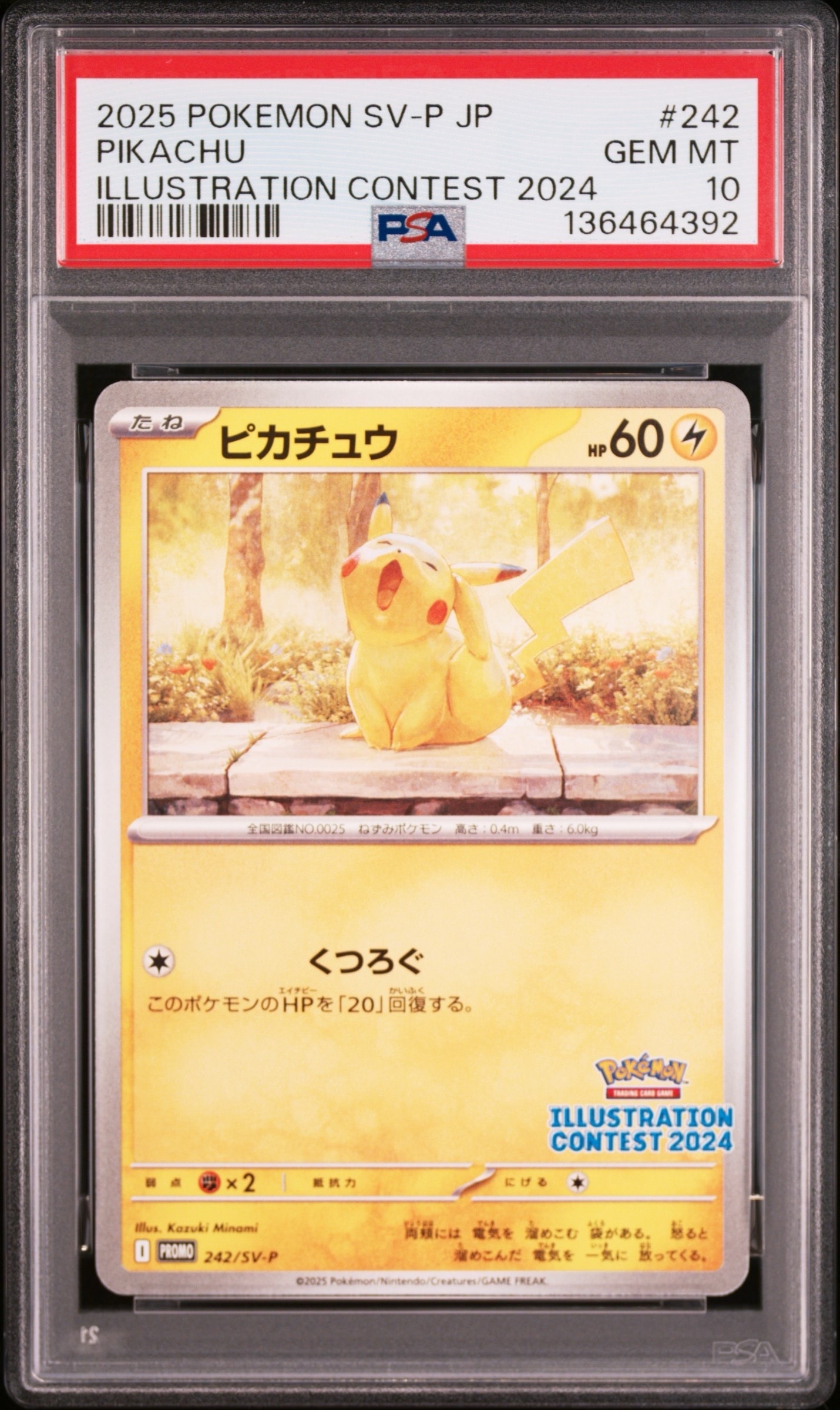 ピカチュウ イラストコンテスト PSA10 プロモ SV-P ポケモンカード PSA10】ピカチュウ [SV-P 242](プロモカードパック