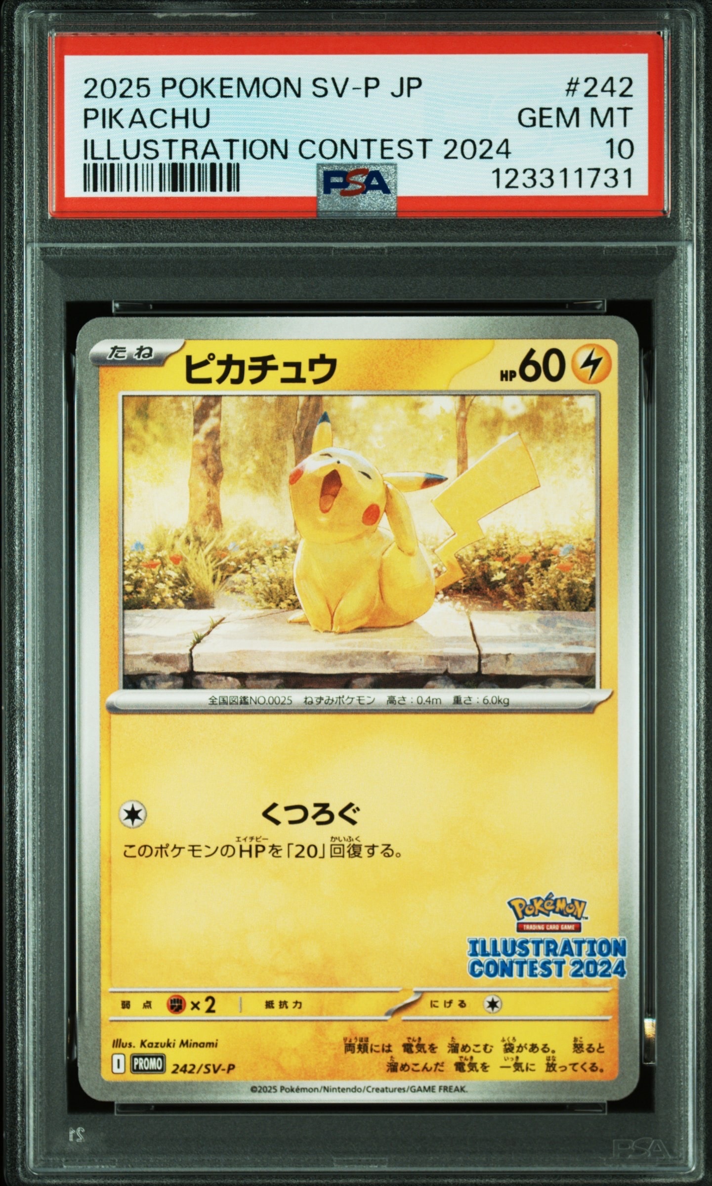ピカチュウ [SV-P 242](プロモカードパック「イラストレーションコンテスト 2024 受賞作品プロモカード化記念キャンペーン」)