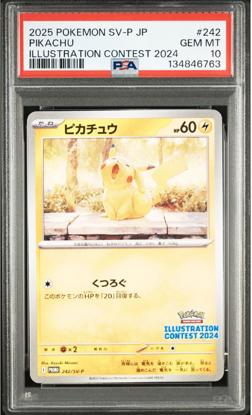 ピカチュウ [SV-P 242](プロモカードパック「イラストレーションコンテスト 2024 受賞作品プロモカード化記念キャンペーン」)