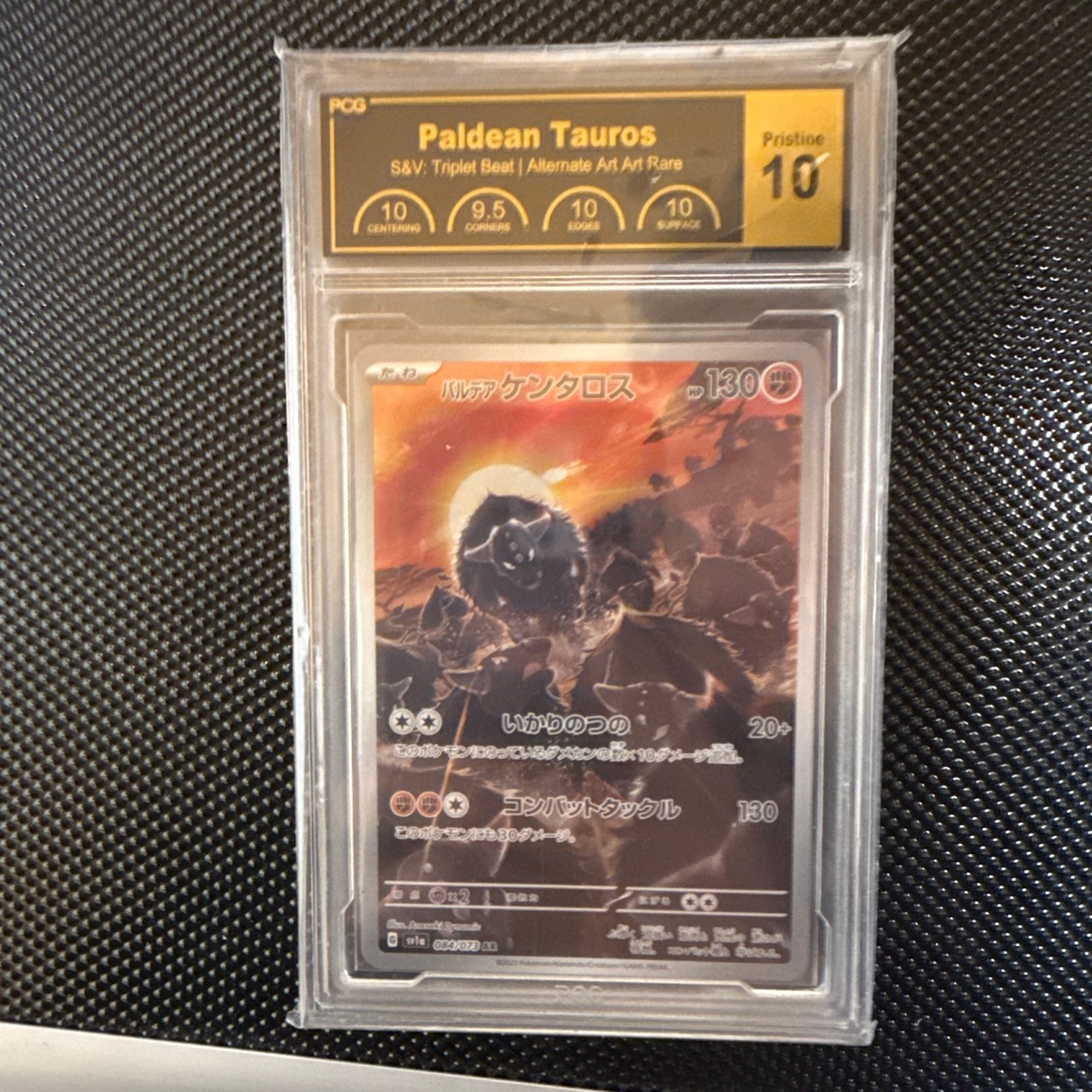 パルデアケンタロス AR[SV1a 084/073](スカーレット&バイオレット 拡張パック「トリプレットビート」)