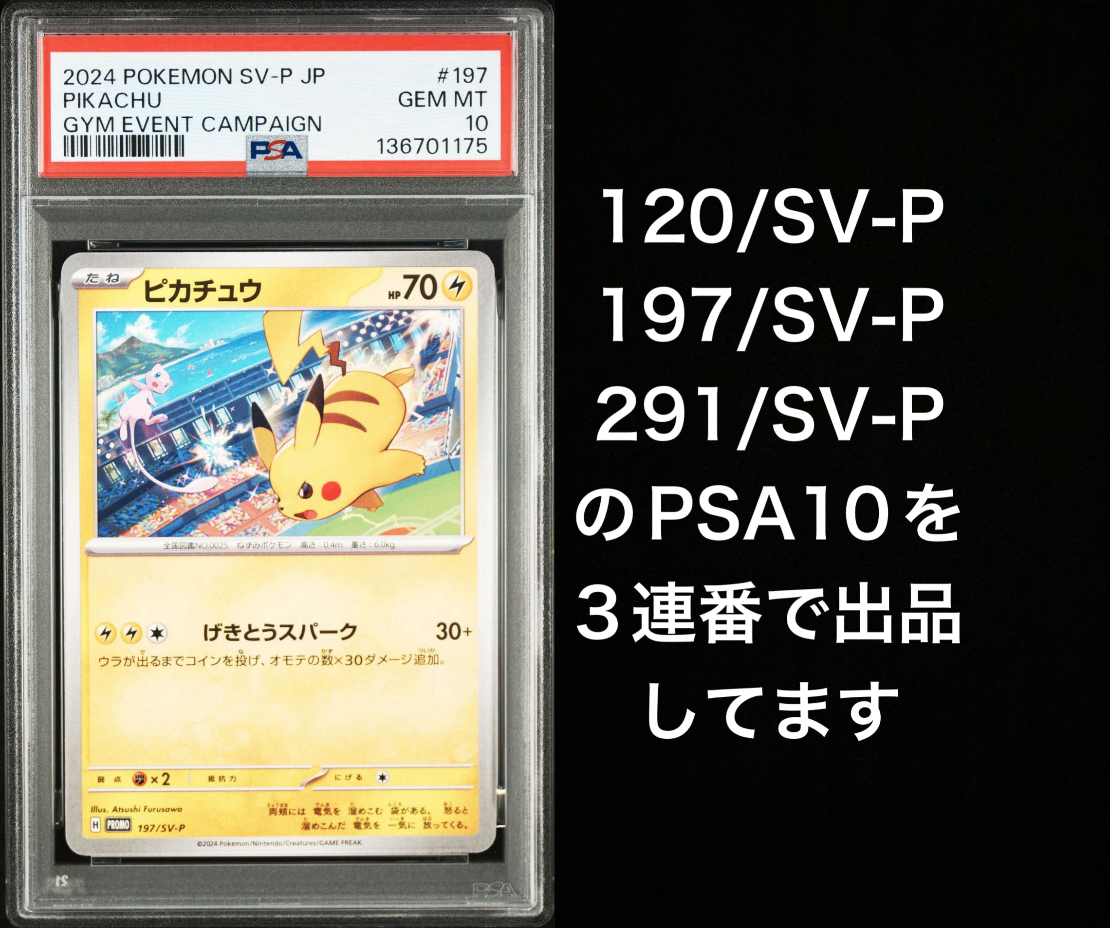 ピカチュウ P [SV-P 197](プロモーションカード「WCS2024 開催記念」)