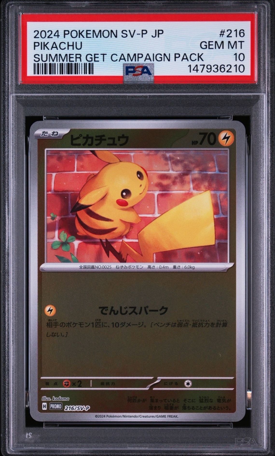 ピカチュウ [SV-P 242](プロモカードパック「イラストレーション