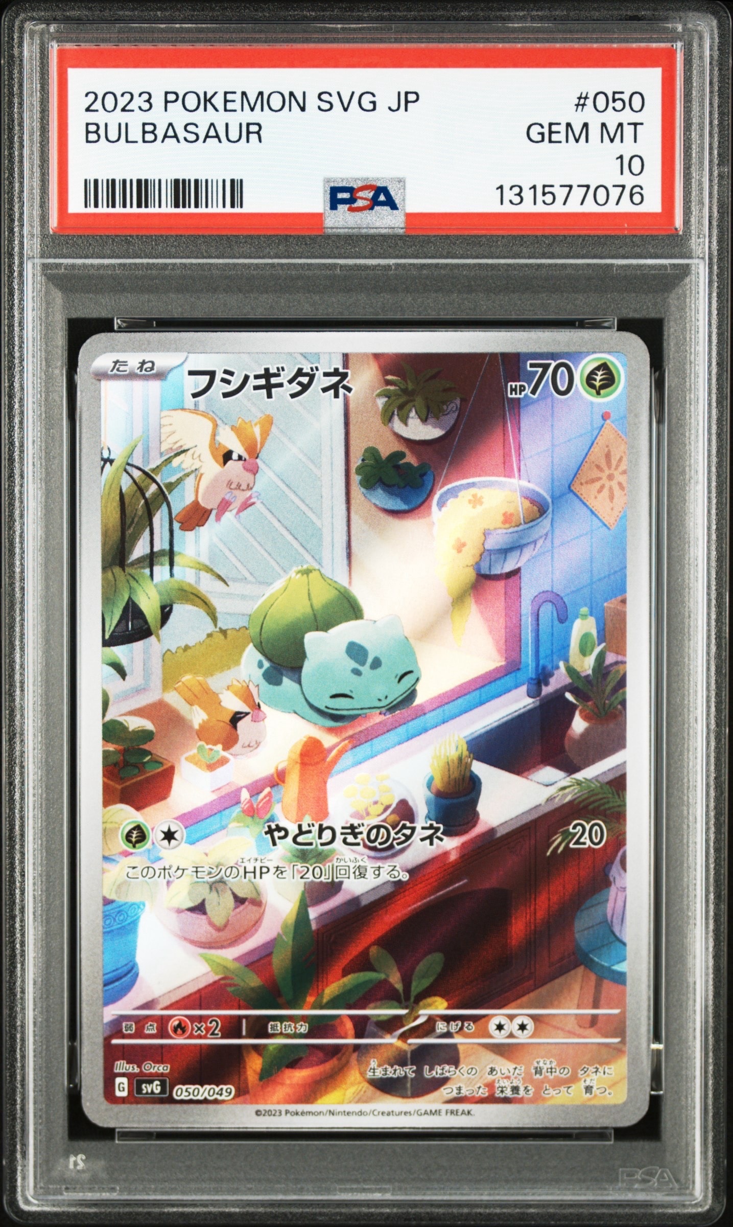 フシギダネ :フルイラスト [SVG 050/049](スペシャルデッキセットex「フシギバナ・リザードン・カメックス」)