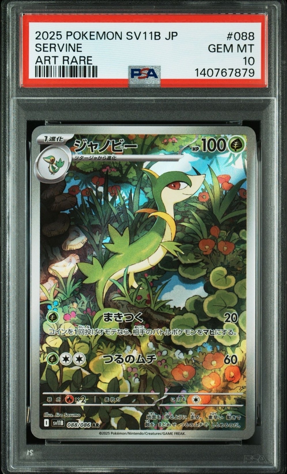 PSA10】ジャノビー AR [SV11B 088/086](拡張パック「ブラックボルト