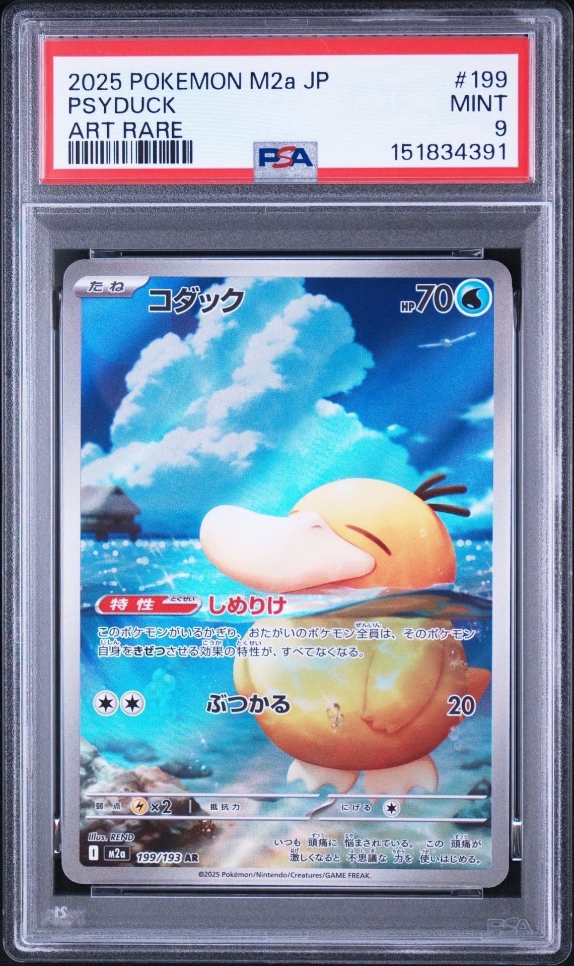 コダック AR [M2a 199/193](ハイクラスパック「MEGAドリームex」)