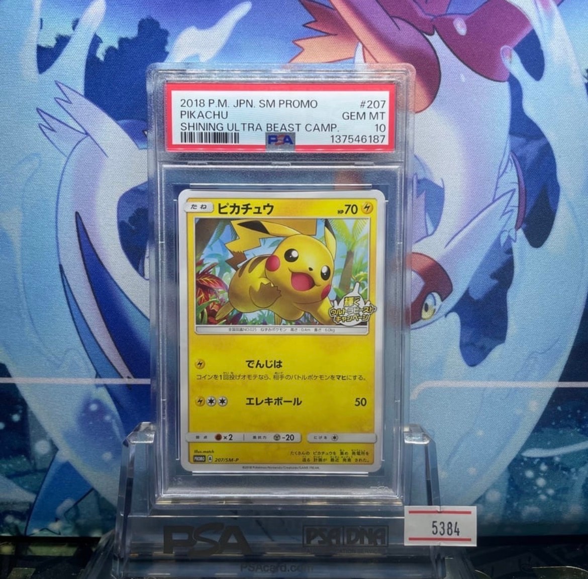 PSA10】ピカチュウ: プロモ [SM-P 207](プロモーションカード「SM-P