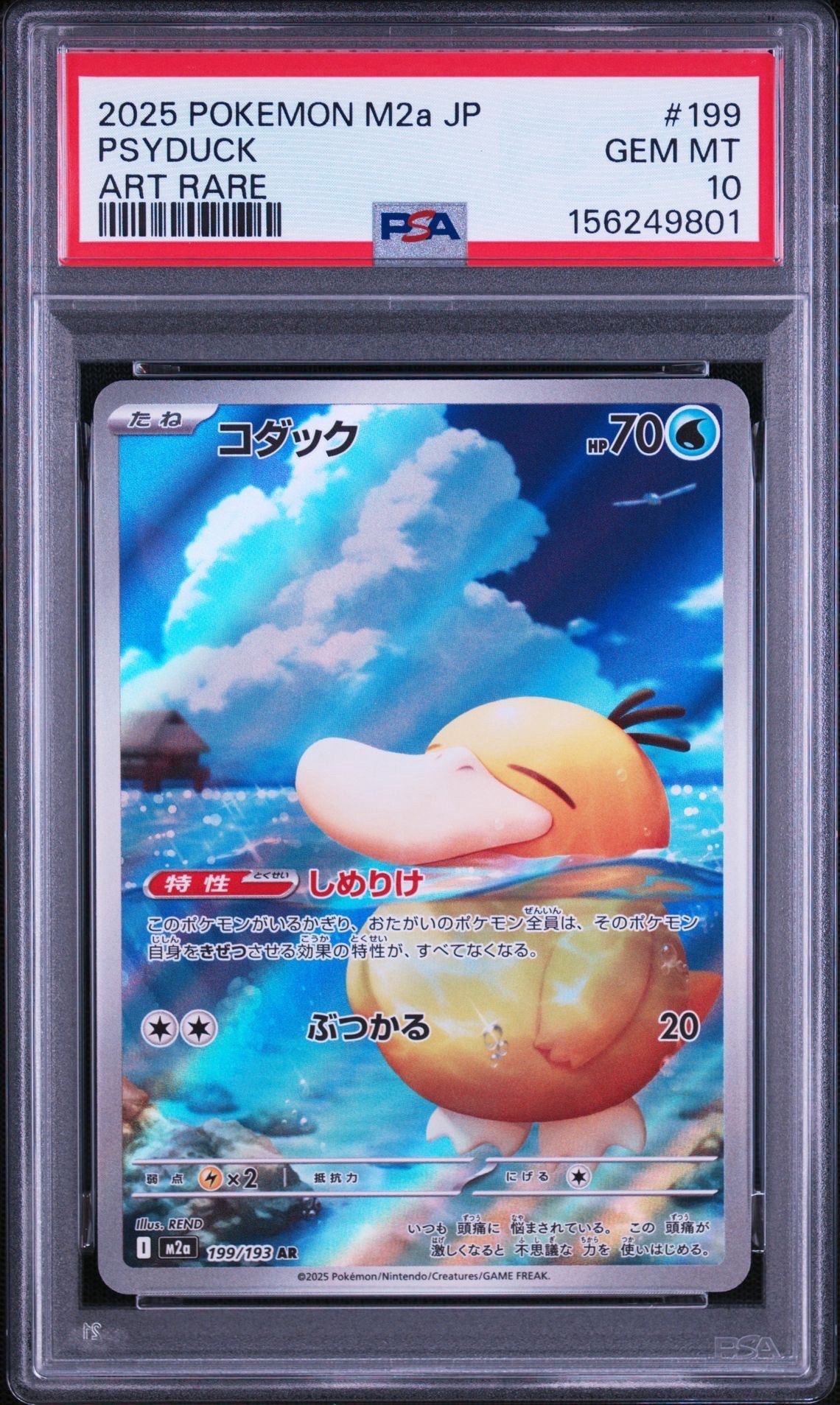 コダック AR [M2a 199/193](ハイクラスパック「MEGAドリームex」)の