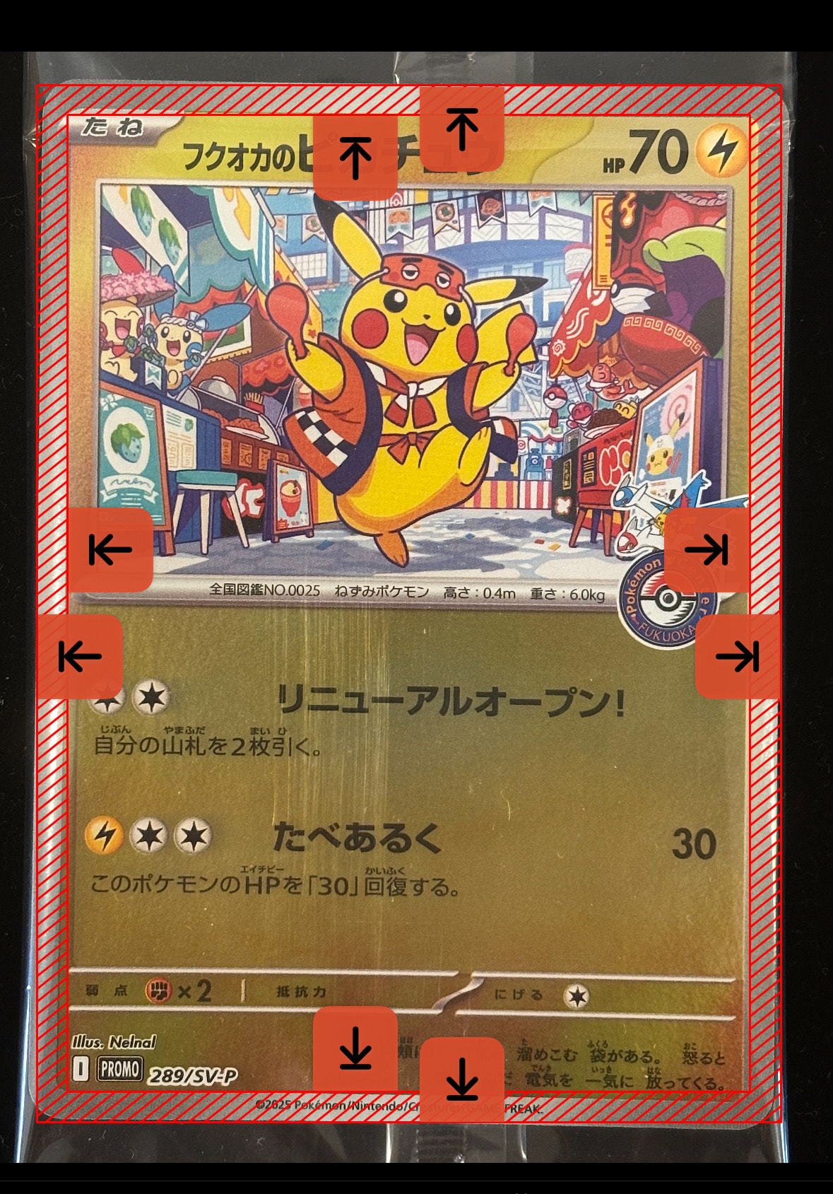 フクオカのピカチュウ P [SV-P 289](スペシャルBOX「ポケモンセンターフクオカ」)