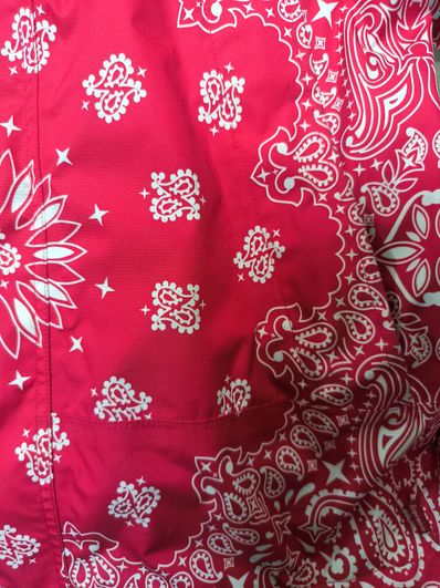 Supreme The North Face Bandana Mountain Parka "Red"