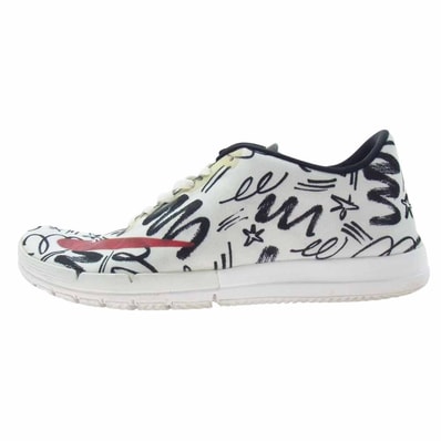 NIKE ナイキ スニーカー 800569-160 JAMES JARVIS FREE SB R/R QS ジェームスジャービス フリーエスビー スニーカー 28.5cm【中古】