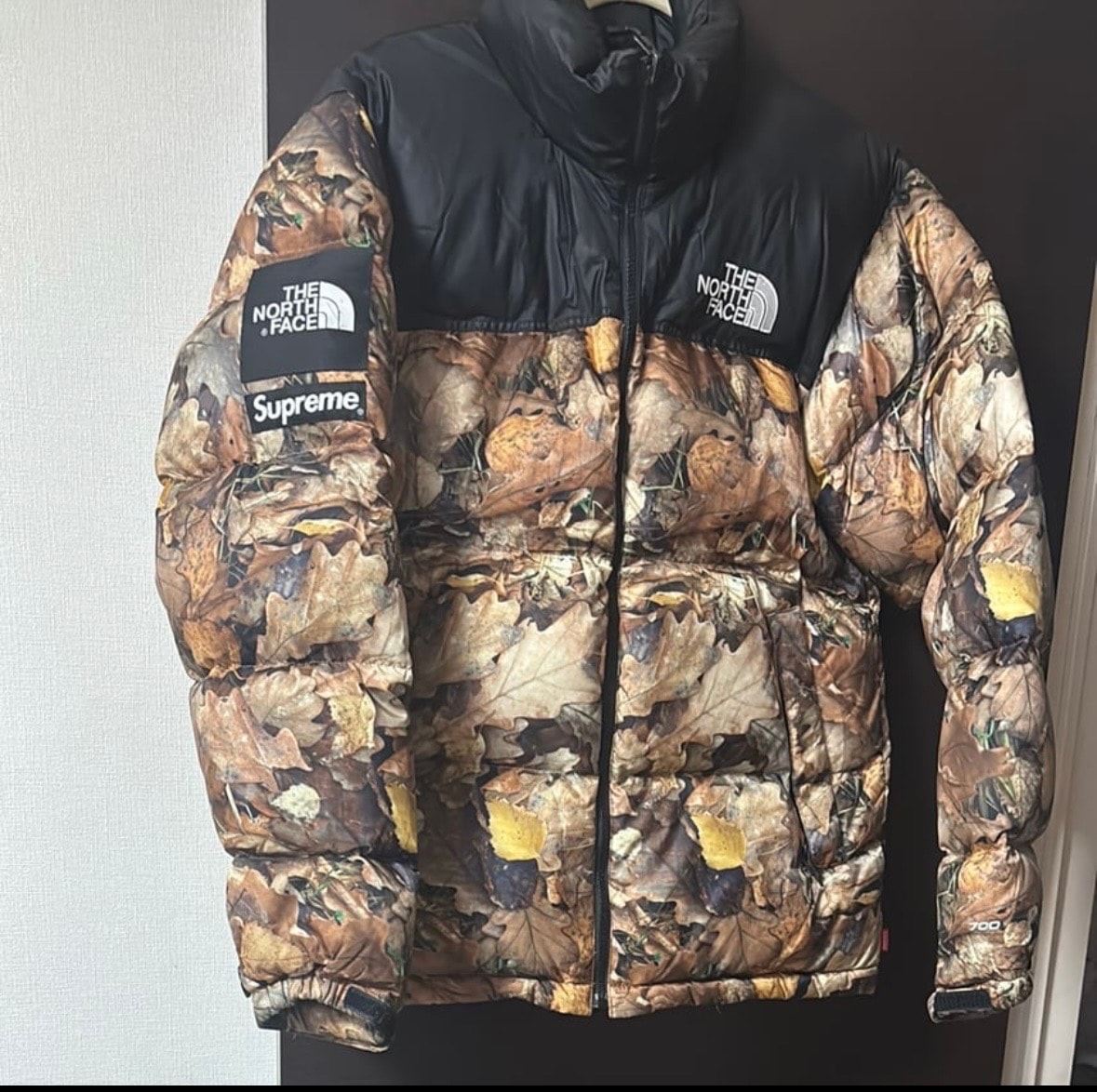 Supreme x The North Face Leaves Nuptse Jacket "Leaves"