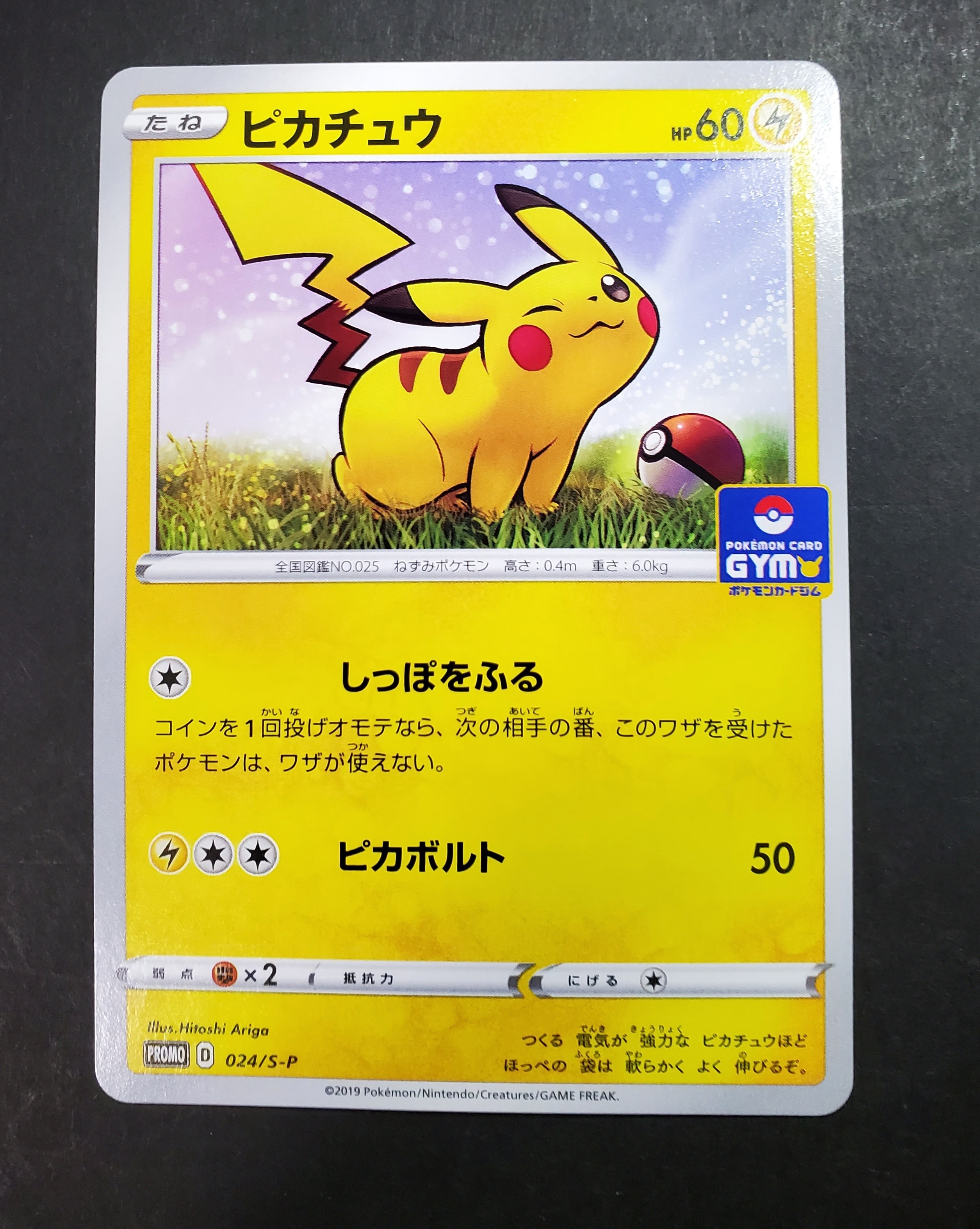 ピカチュウ P [BW-P 229/BW-P](プロモーションカード「ポケモン