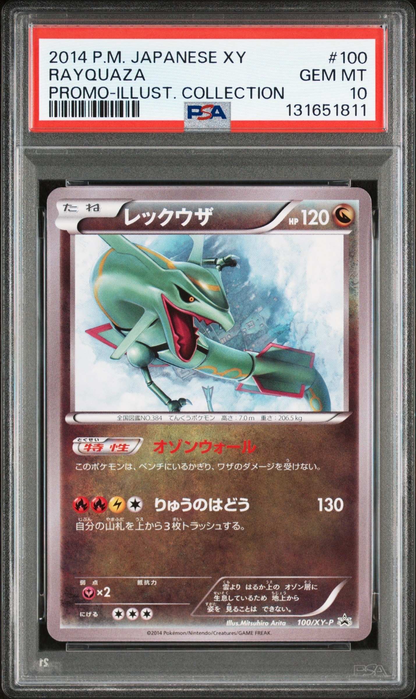 レックウザ イラストコレクション: プロモ[XY-P 100/XY-P](プロモーションカード「XY-P」)