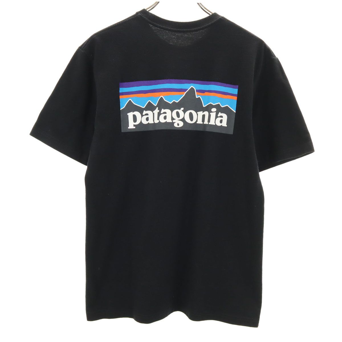 patagonia 半袖 レスポンシビリティー Tシャツ
