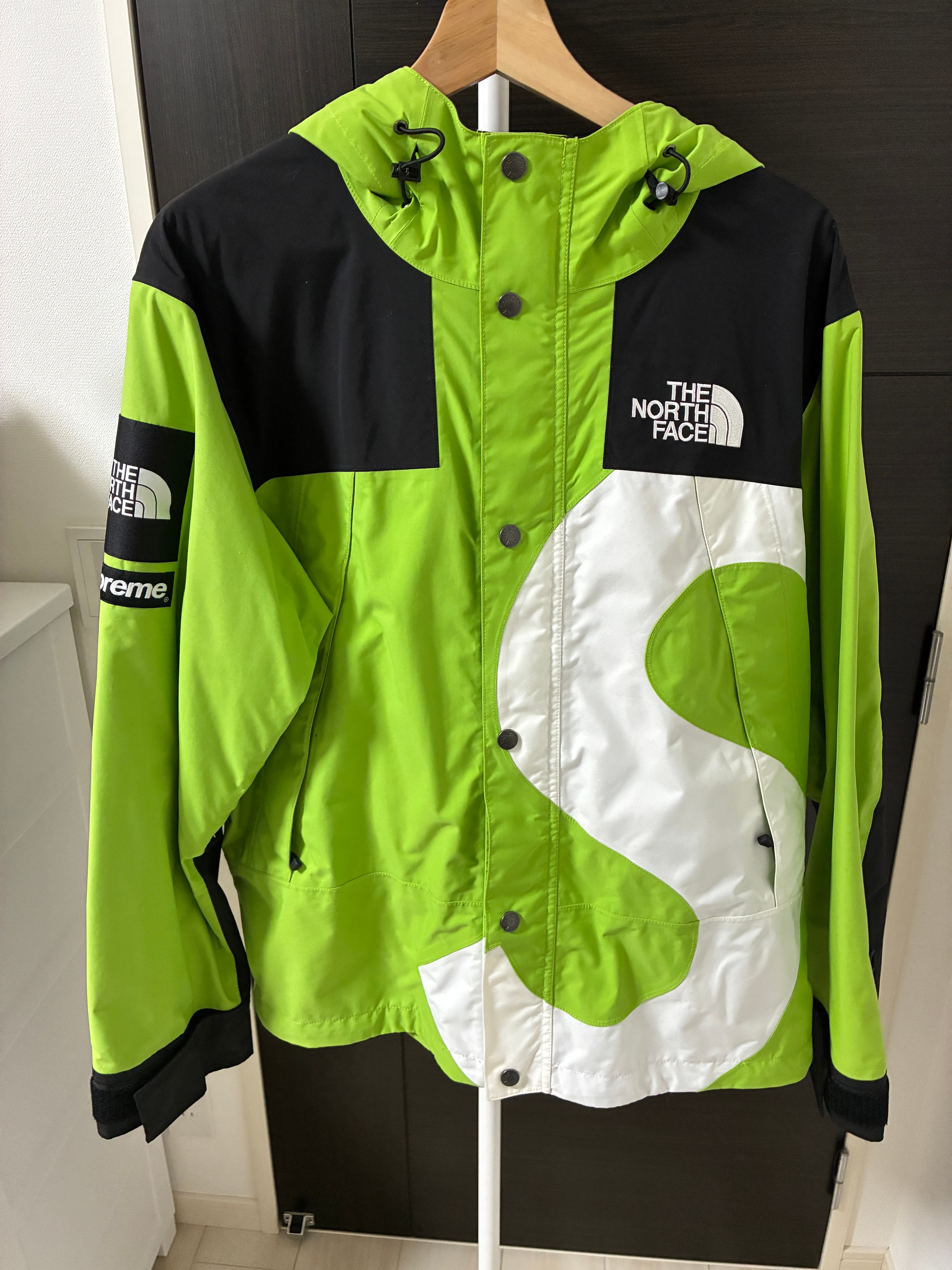 Supreme x The North Face S Logo Mountain Jacket "Green"