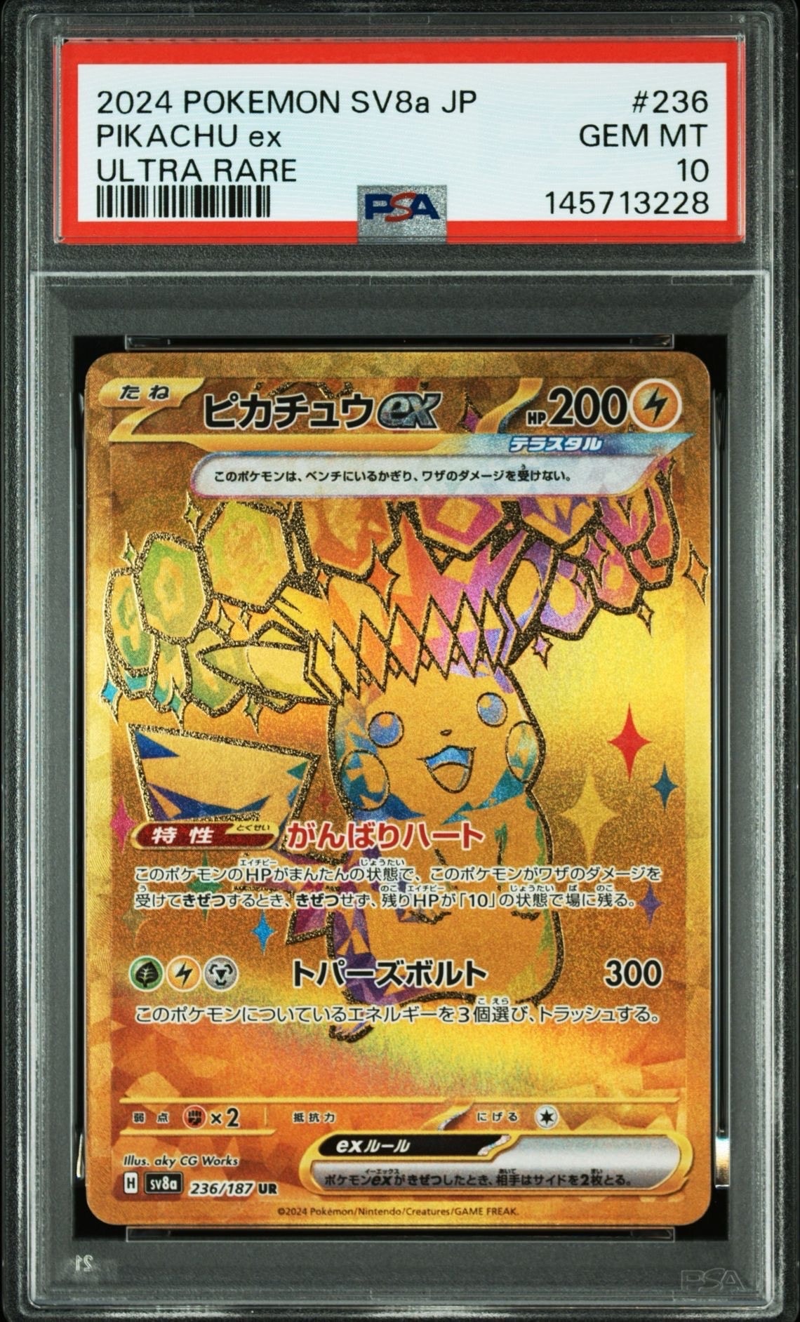 フウロ: プロモ[XY-P 164/XY-P](プロモーションカード「XY-P」)の新品