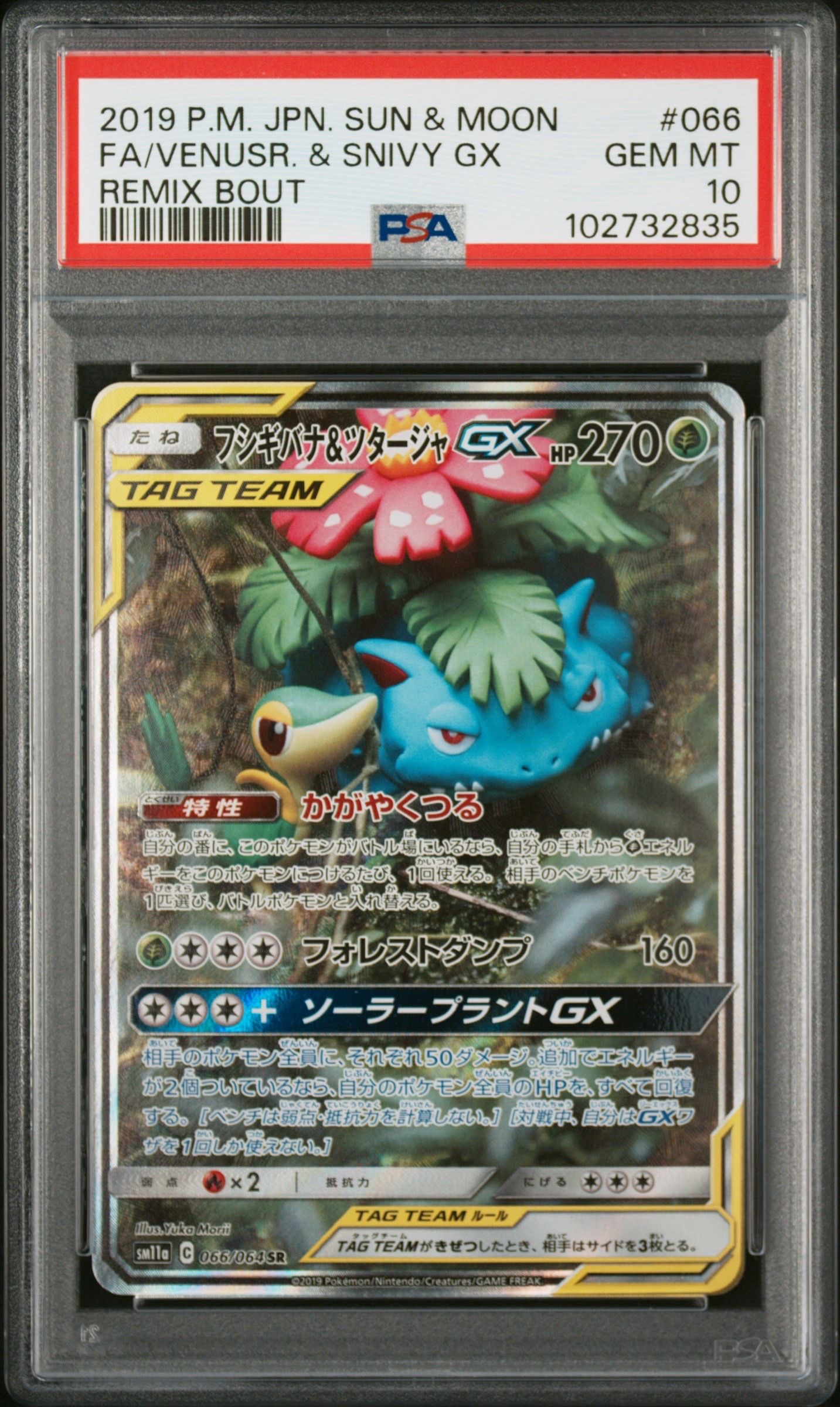 フシギバナ&ツタージャGX SR: SA[SM11a 066/064](強化拡張パック「リミックスバウト」)