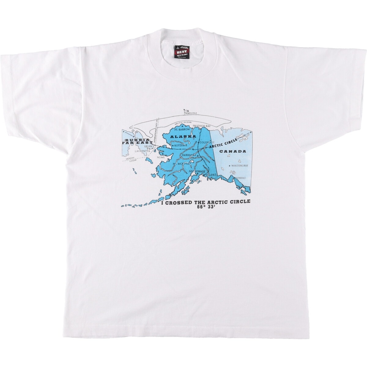 古着 90年代 フルーツオブザルーム FRUIT OF THE LOOM プリントTシャツ USA製 メンズL相当 ヴィンテージ/eaa563068