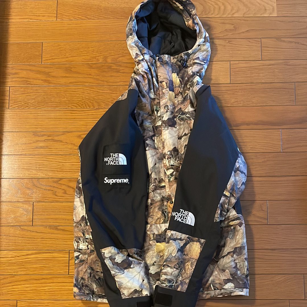 Supreme x The North Face Leaves Mountain Light Jacket "Leaves"