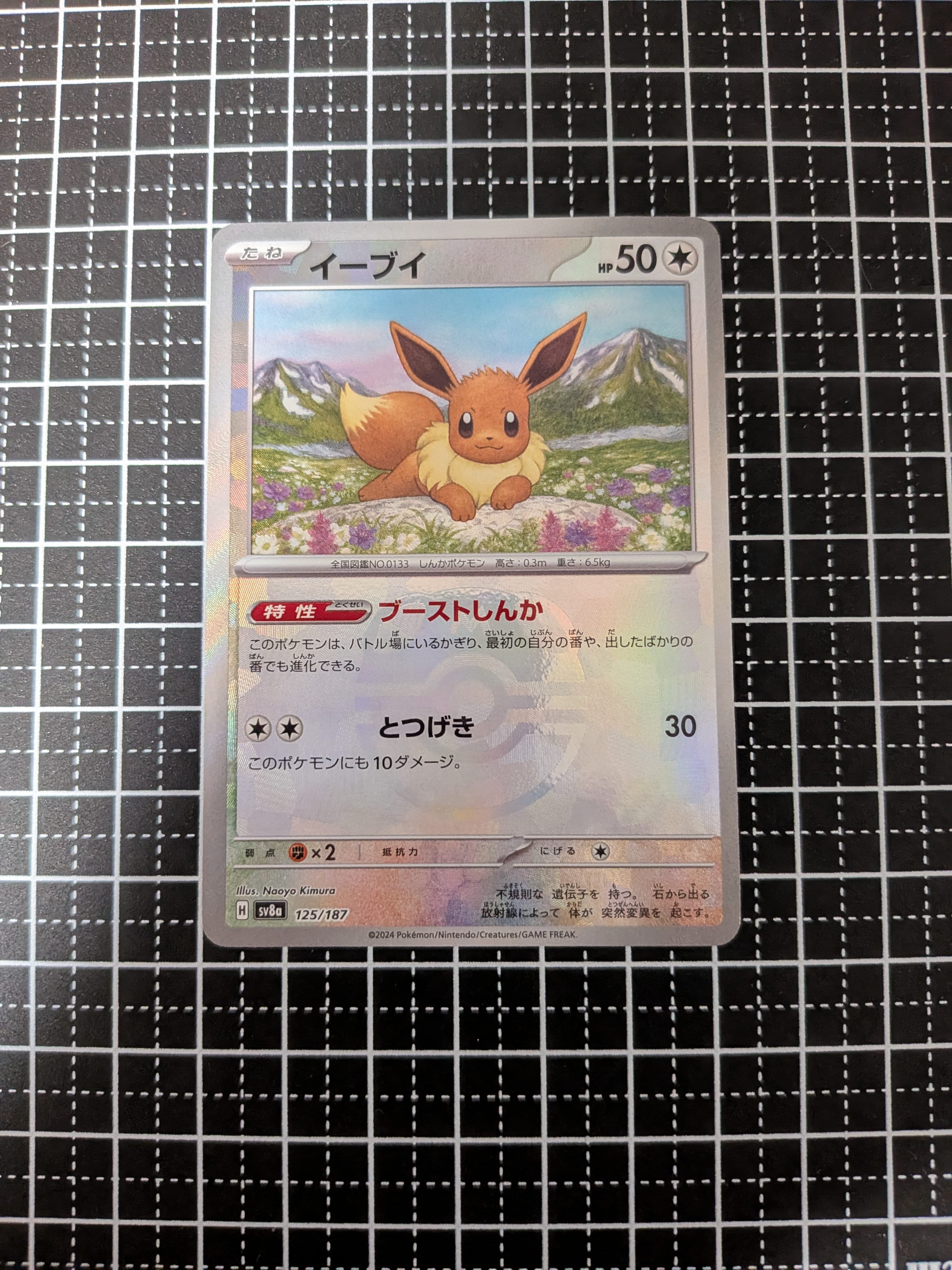 イーブイ :マスターボールミラー [SV8a 125/187](ハイクラスパック「テラスタルフェスex」)