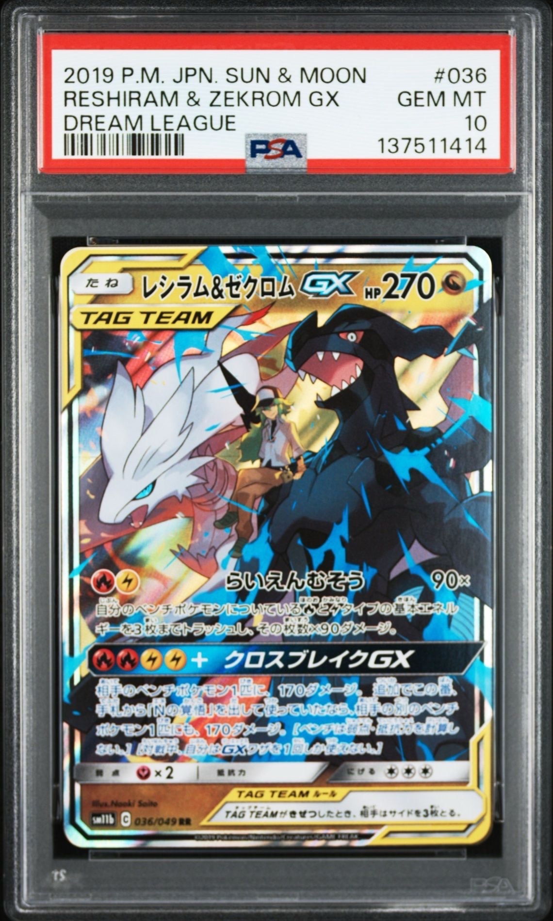 レシラム&ゼクロムGX (N) RR[SM11b 036/049](強化拡張パック「ドリームリーグ」)
