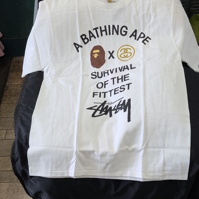 BATHINGAPE ✕ Stussy コラボTシャツ