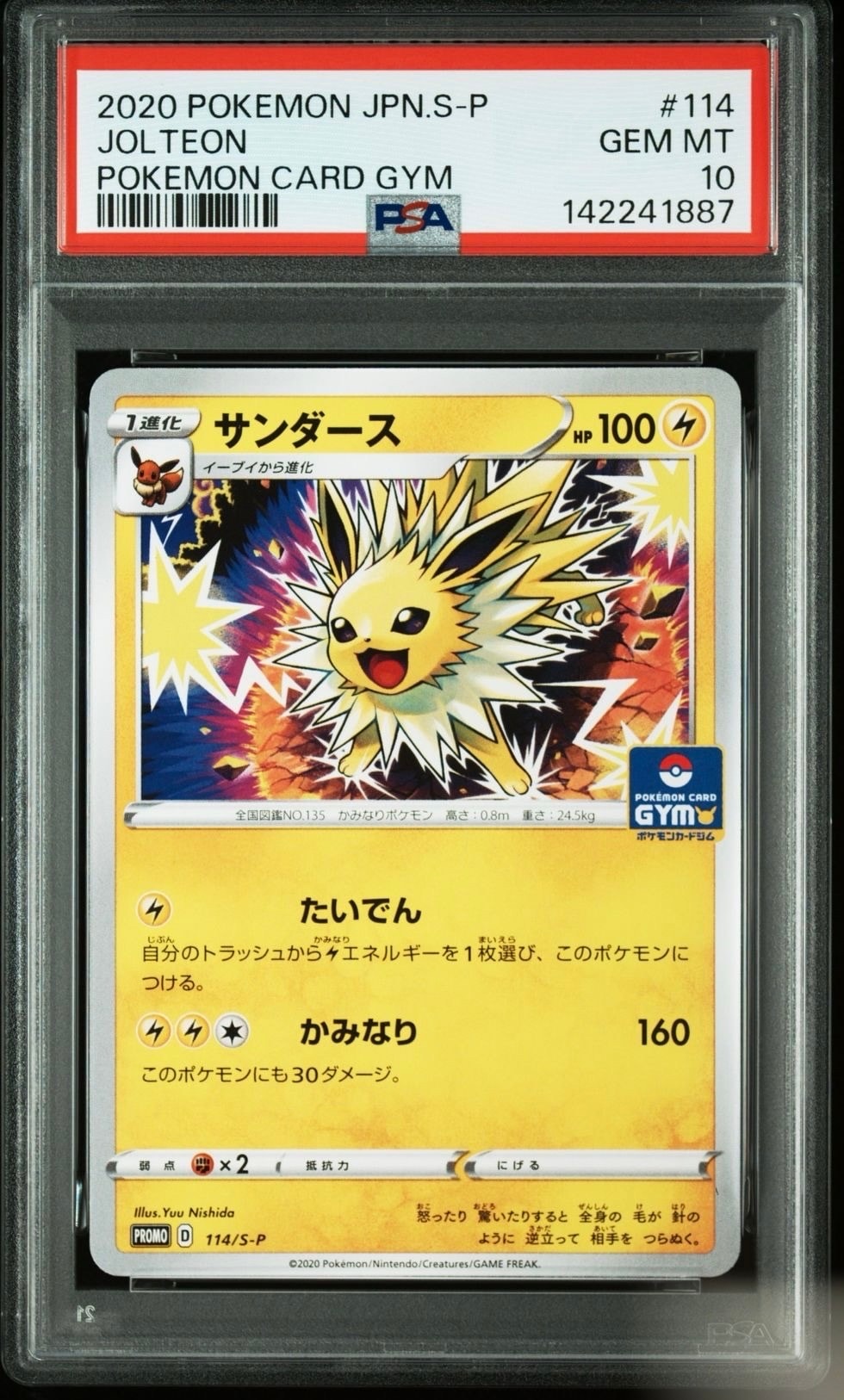 サンダース: プロモ P [S-P 114](ポケモンカードゲーム ソード&シールド 「プロモカードパック 第4弾」)