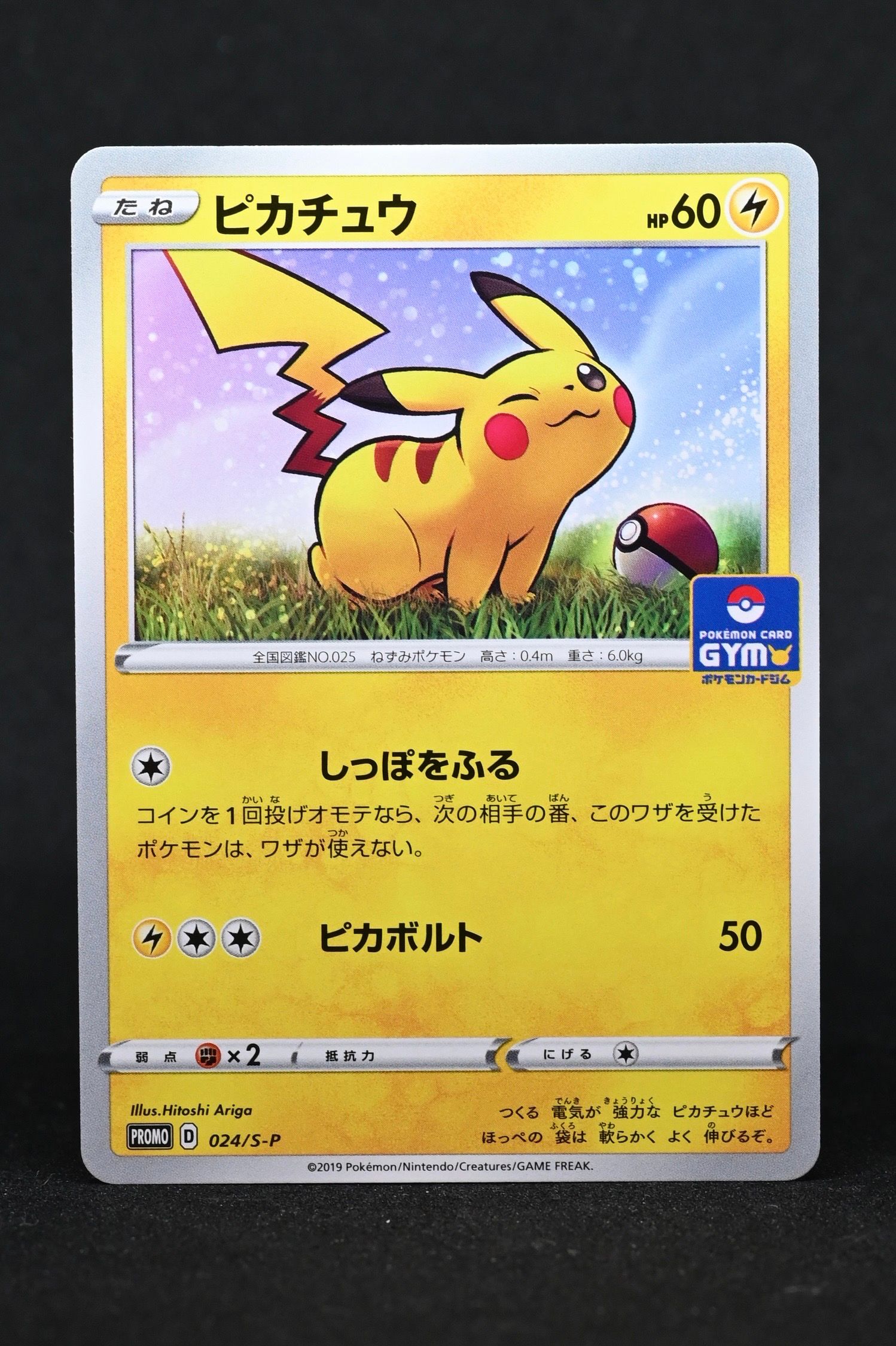 ピカチュウ: プロモ P [S-P 024](ポケモンカードゲーム ソード&シールド 「プロモカードパック 第1弾」)