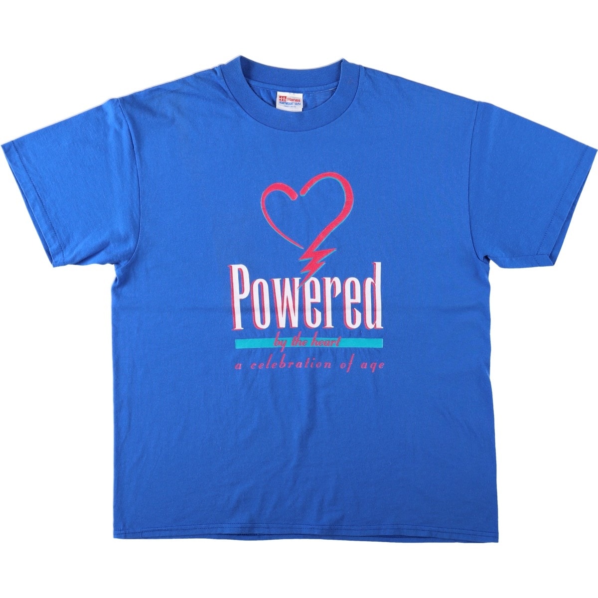 古着 90~00年代 ヘインズ Hanes HEAVYWEIGHT 50/50 プリントTシャツ メンズL相当 ヴィンテージ/eaa663972