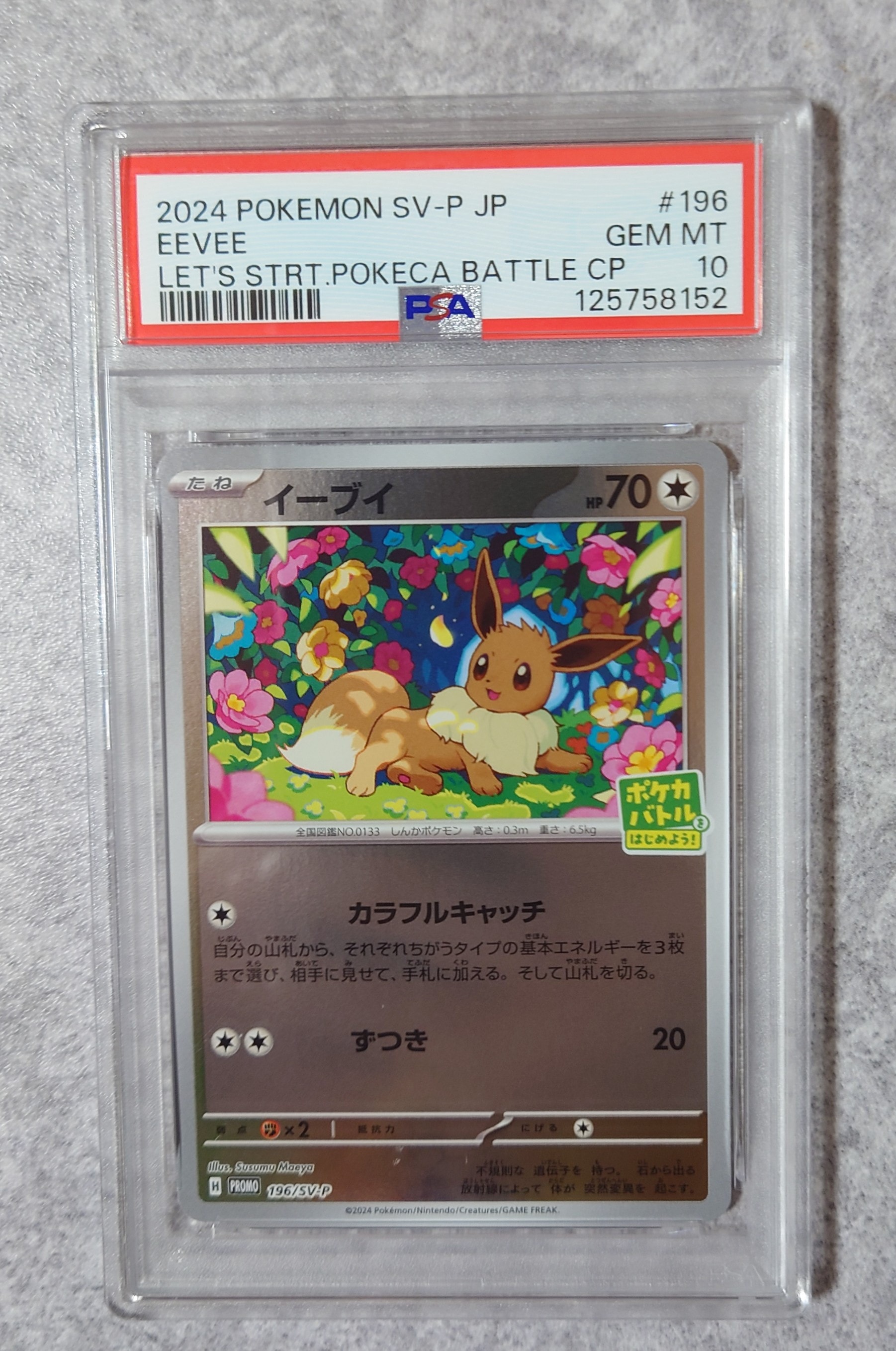 イーブイ P [SV-P-SM 196](プロモカードパック「ポケカバトルをはじめよう!キャンペーン」)