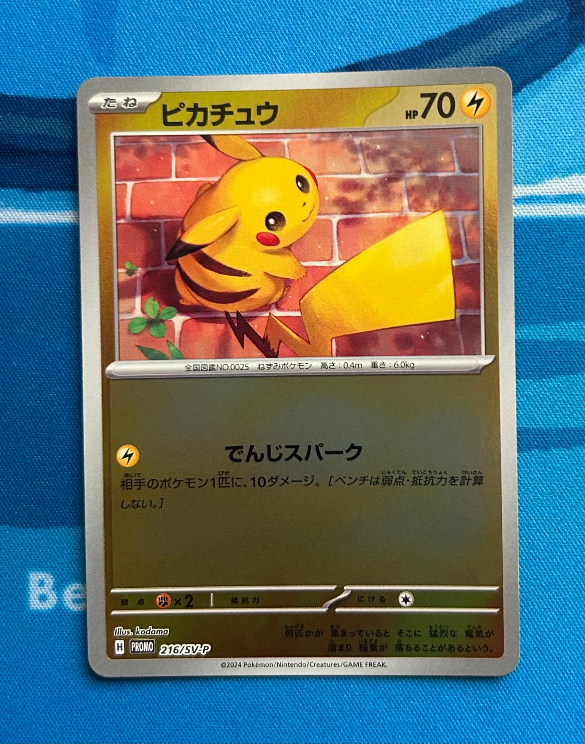 【PSA10】ピカチュウ プロモ [SV-P 216]でんじスパーク「夏ポケカ」 ピカチュウ【P】{216/SV-P}