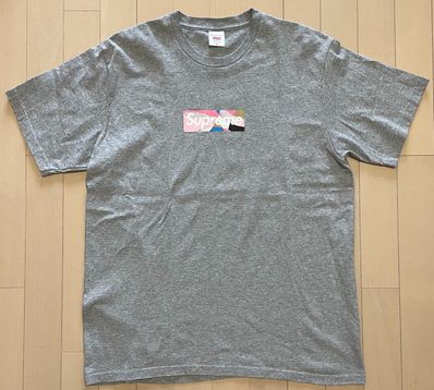 Supreme / Emilio Pucci® Box Logo Tee "Grey/Pink"