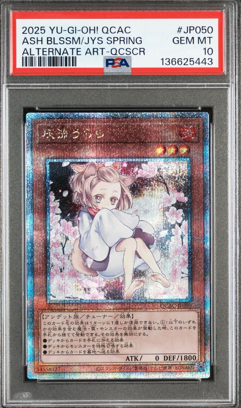 灰流うらら 25th SE [QCAC-JP050](クォーター・センチュリー・アート・コレクション)