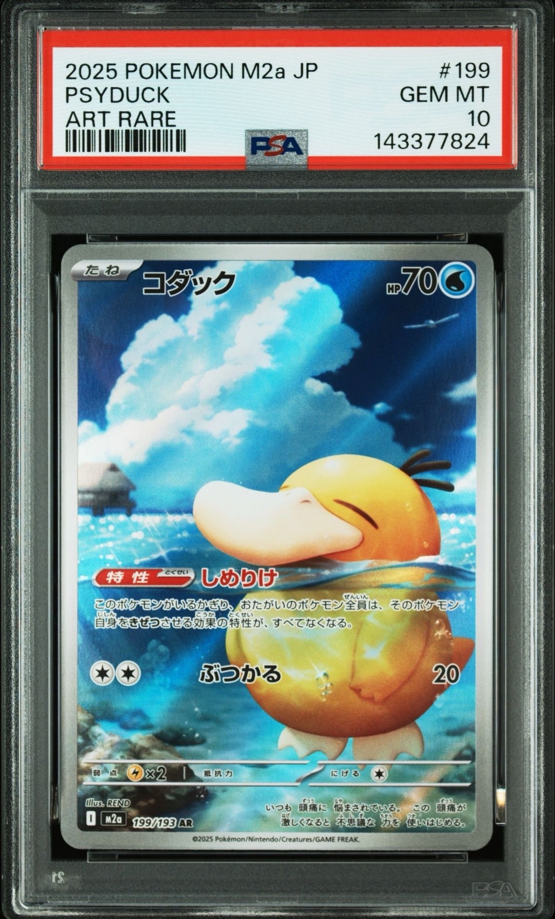 コダック AR [M2a 199/193](ハイクラスパック「MEGAドリームex」)