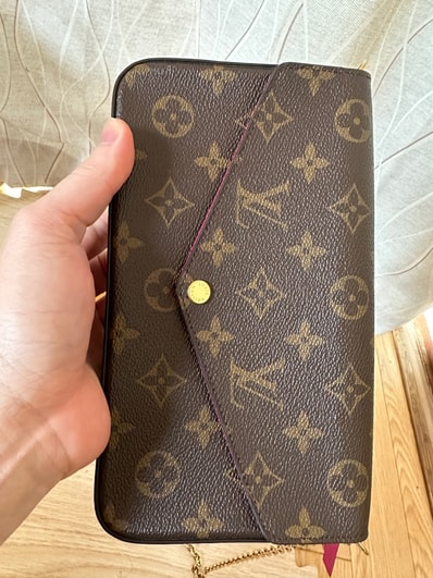 Louis Vuitton Pochette Felicie Monogram