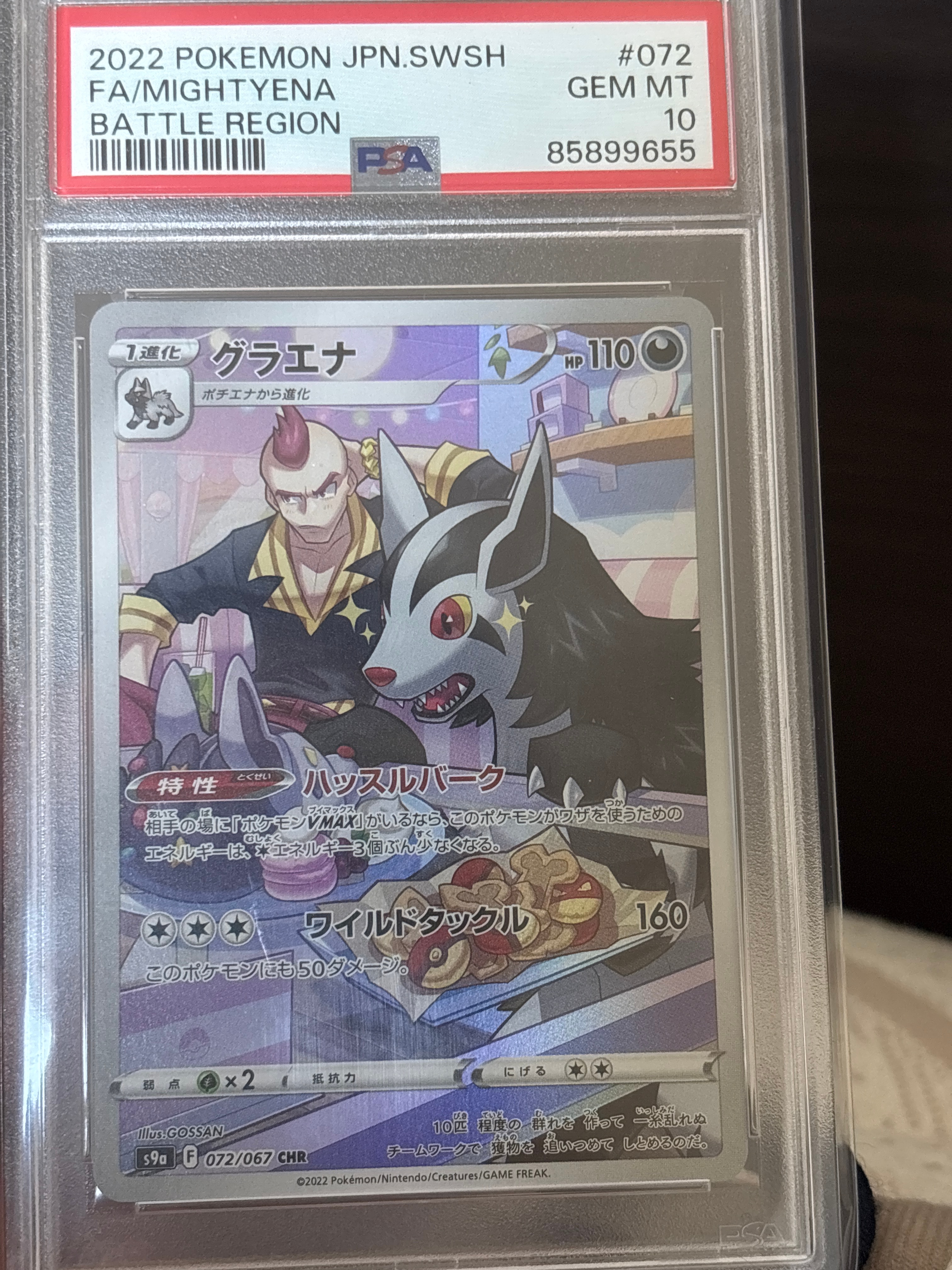 【PSA10】ゲッコウガ P XY-P 209 ファミリーマートキャンペーン ゲッコウガ P [XY-P 209](プロモーションカード「ファミリーマート