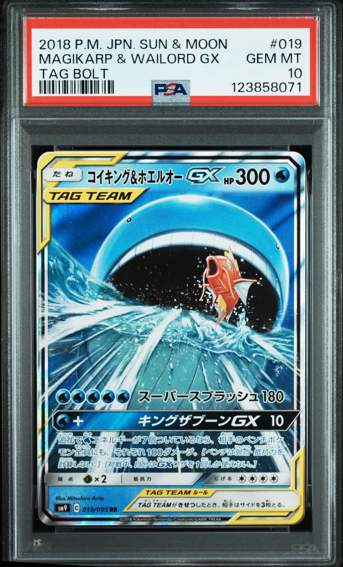 コイキング&ホエルオーGX RR [SM9 019/095](拡張パック「タッグボルト」)