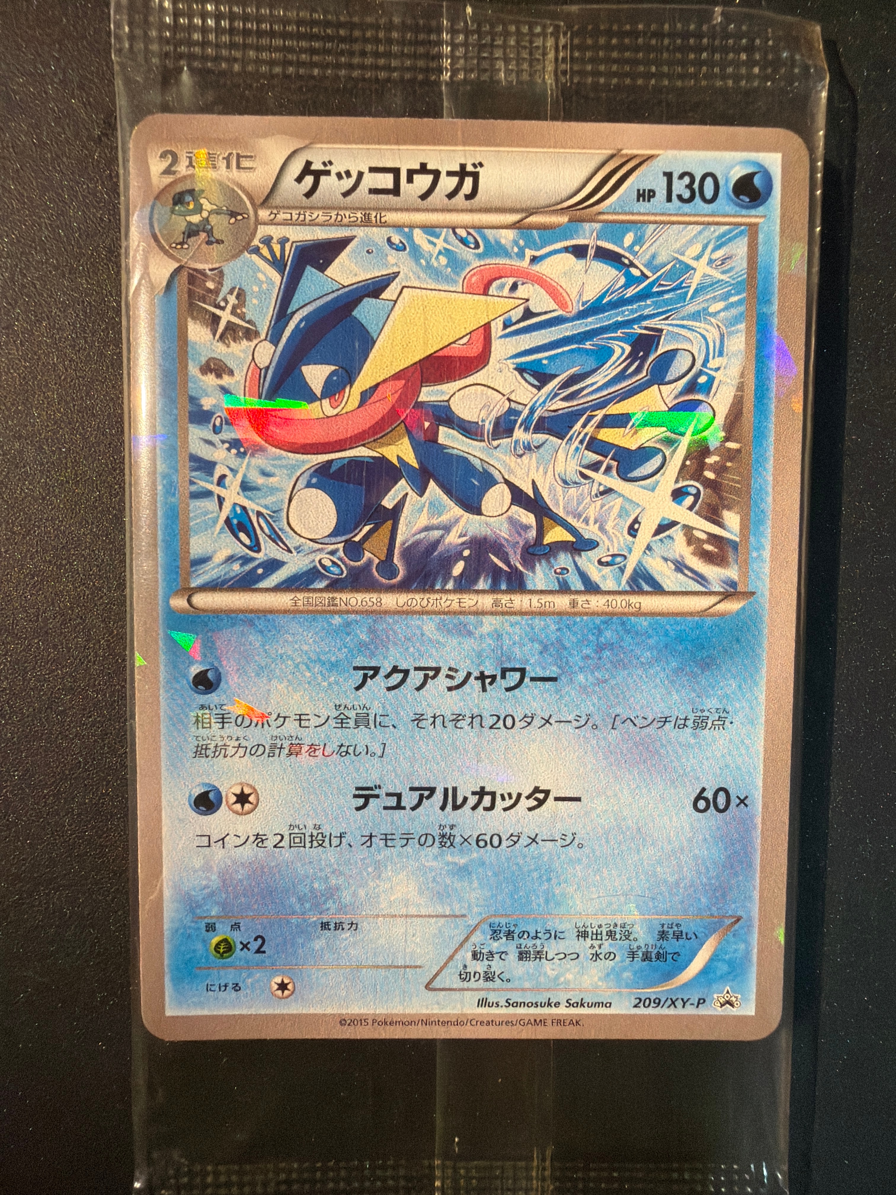 状態A】ゲッコウガ P [XY-P 209](プロモーションカード