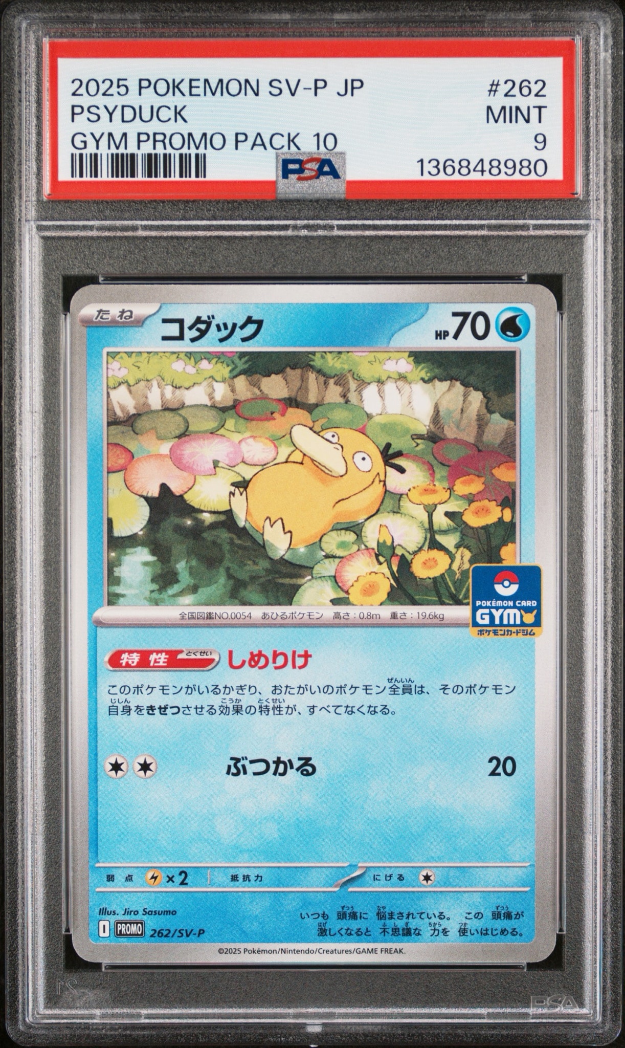 コダック P [SV-P 262](プロモカードパック「第10弾」)