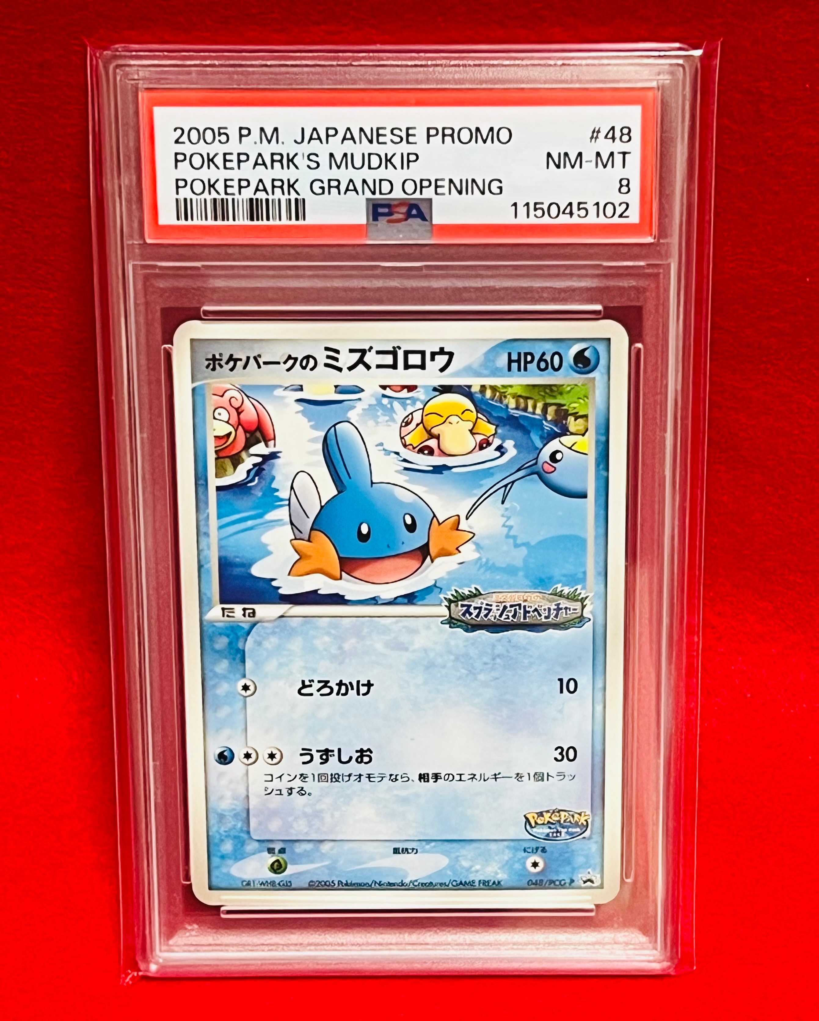 ポケパークのミズゴロウ P [PCG-P 048](プロモーションカード「ポケパーク ルギアのくるくるシップ」)