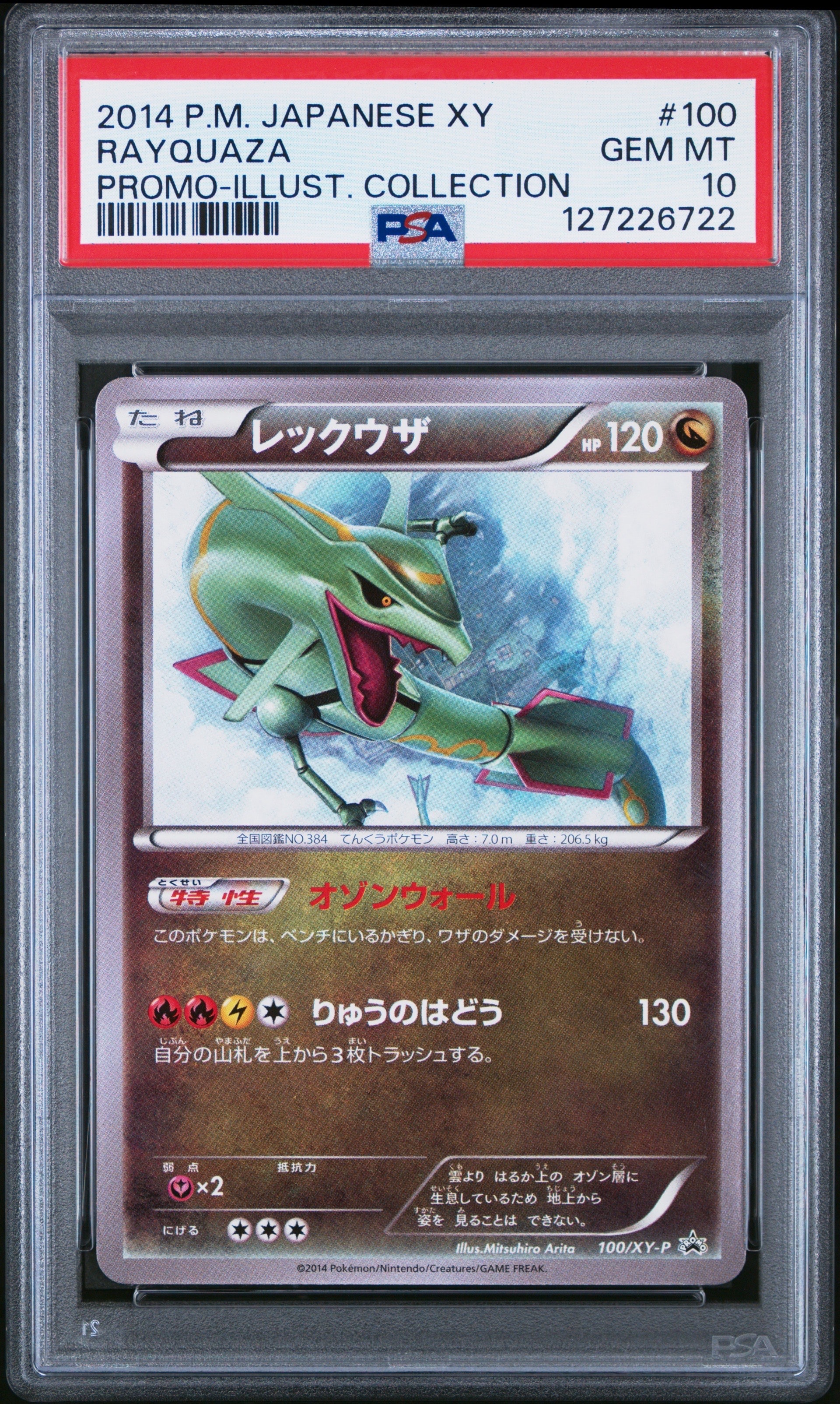 レックウザ イラストコレクション: プロモ[XY-P 100/XY-P](プロモーションカード「XY-P」)