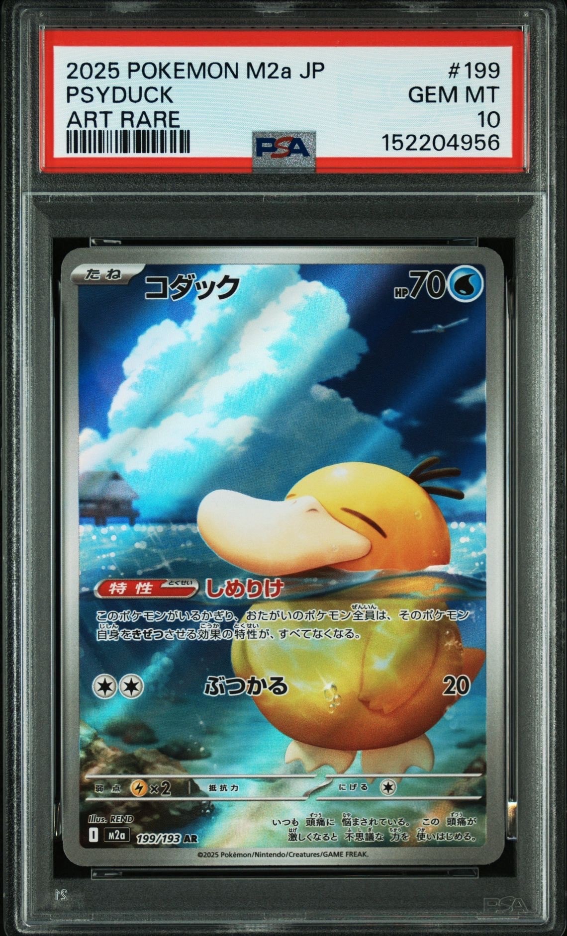 コダック AR [M2a 199/193](ハイクラスパック「MEGAドリームex」)