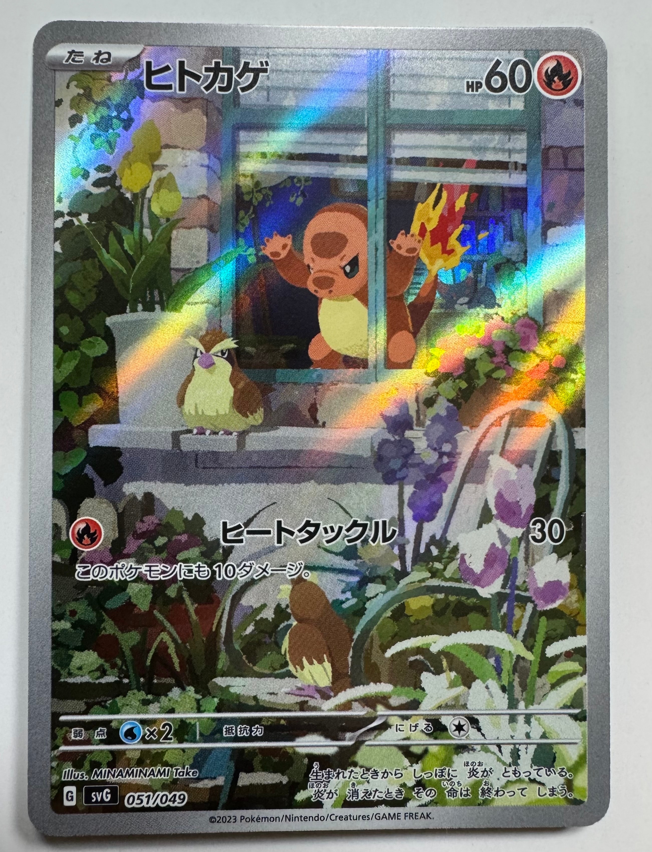 ヒトカゲ :フルイラスト [SVG 051/049](スペシャルデッキセットex「フシギバナ・リザードン・カメックス」)
