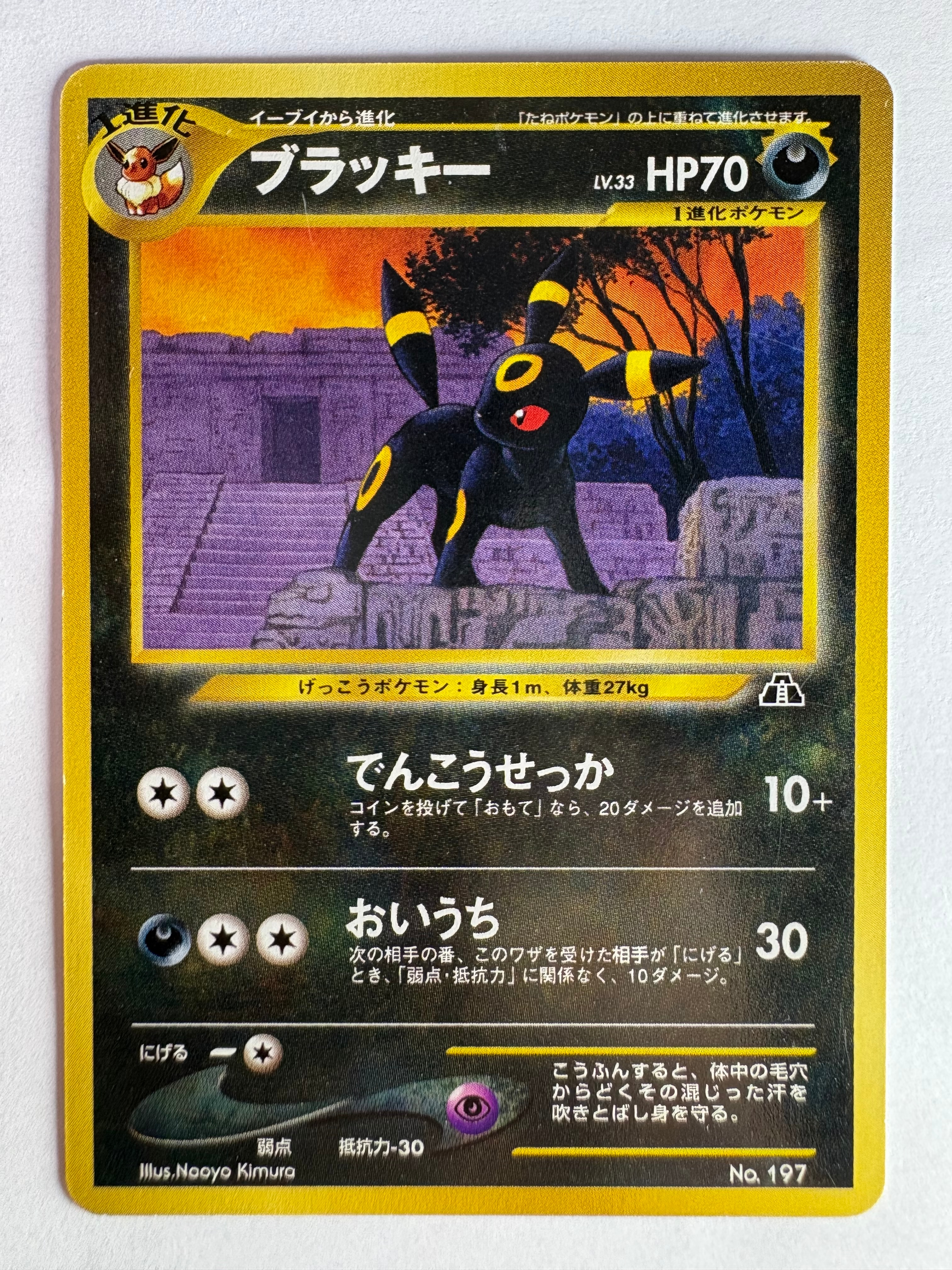 PSA9 ブラッキー 旧裏 プレミアムファイルNEO2 ブラッキープレミアムファイル2: 旧裏[neoP2 No.197](プレミアム
