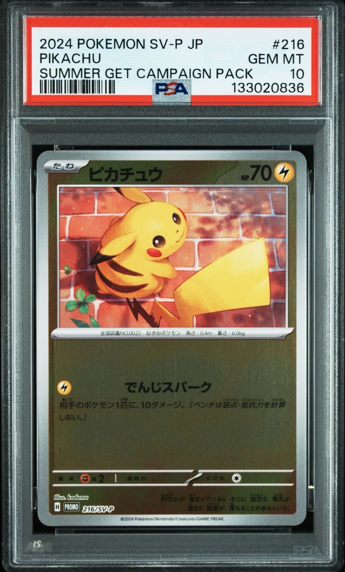 ピカチュウ P [SV-P 216](プロモカードパック「ポケカの夏がキタ!プロモカードGetキャンペーン!」)