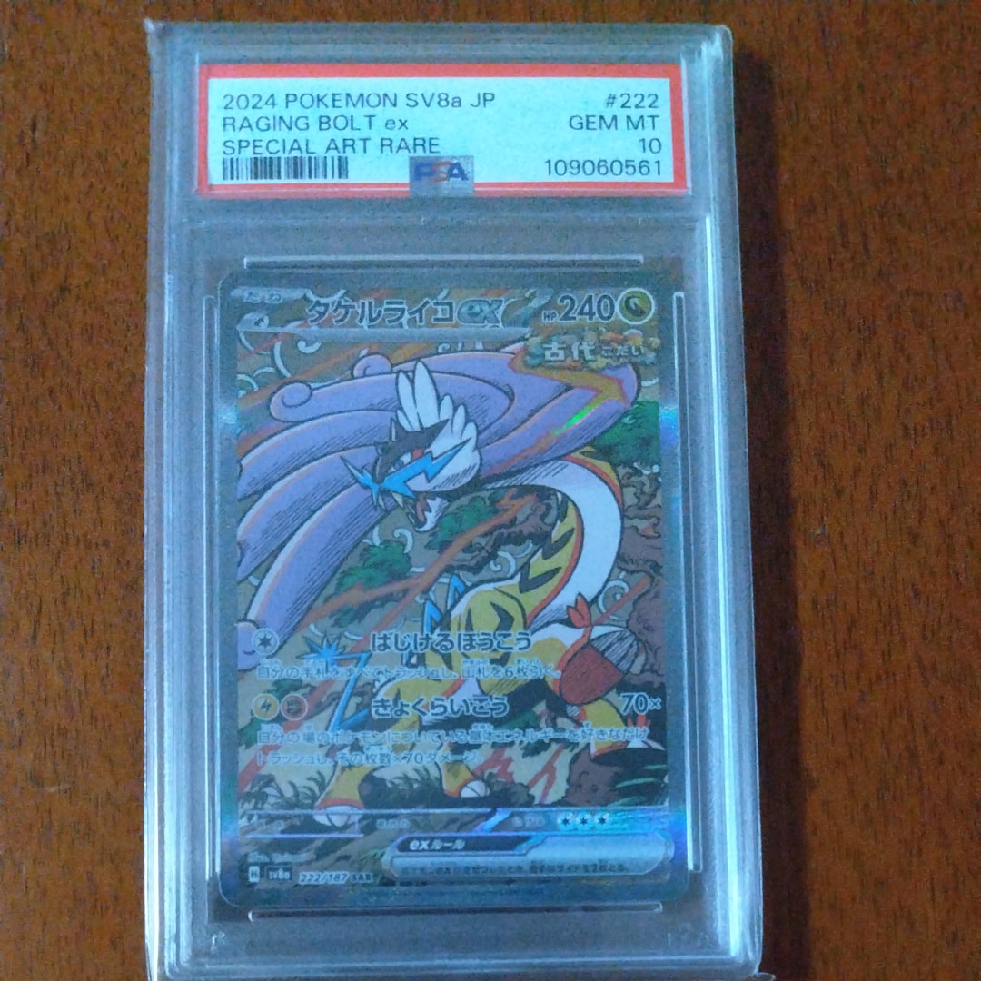 タケルライコex SAR [SV8a 222/187](ハイクラスパック「テラスタルフェスex」)