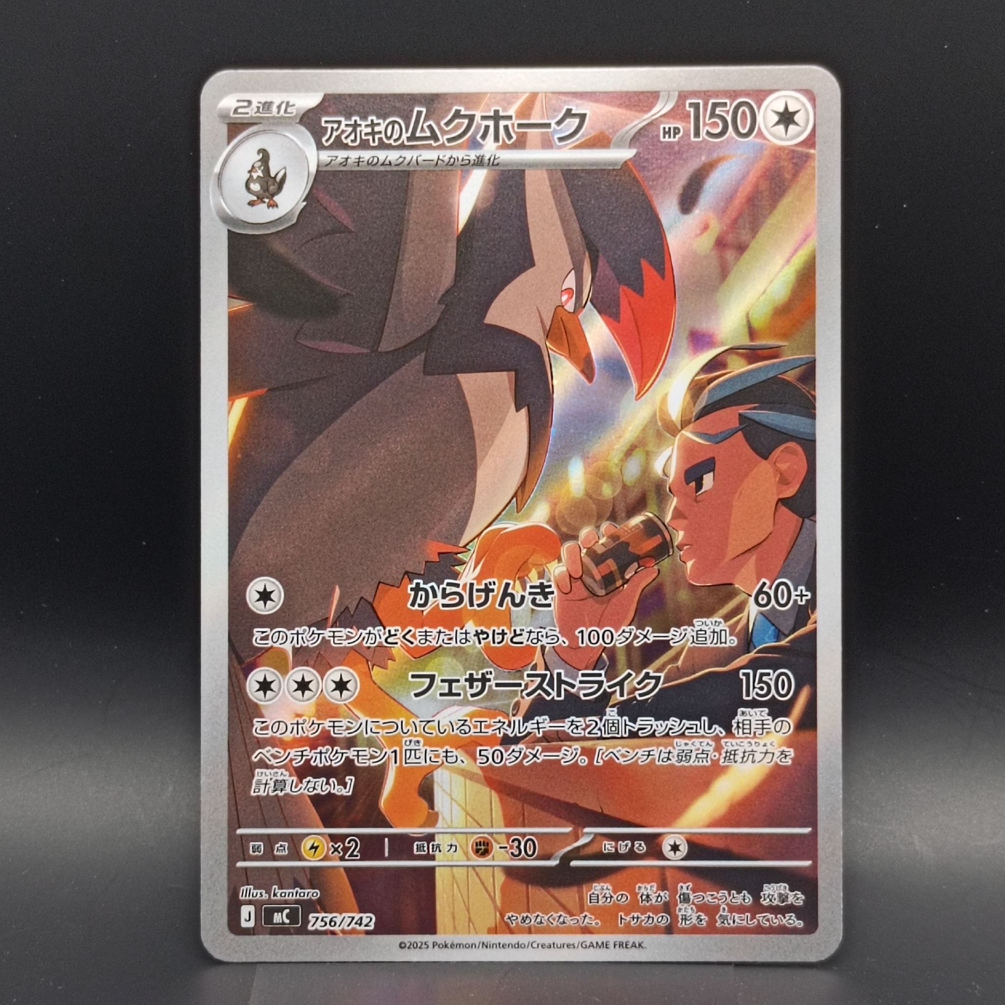 A（きれいな状態）】アオキのムクホーク AR仕様 [MC 756/742](スタート